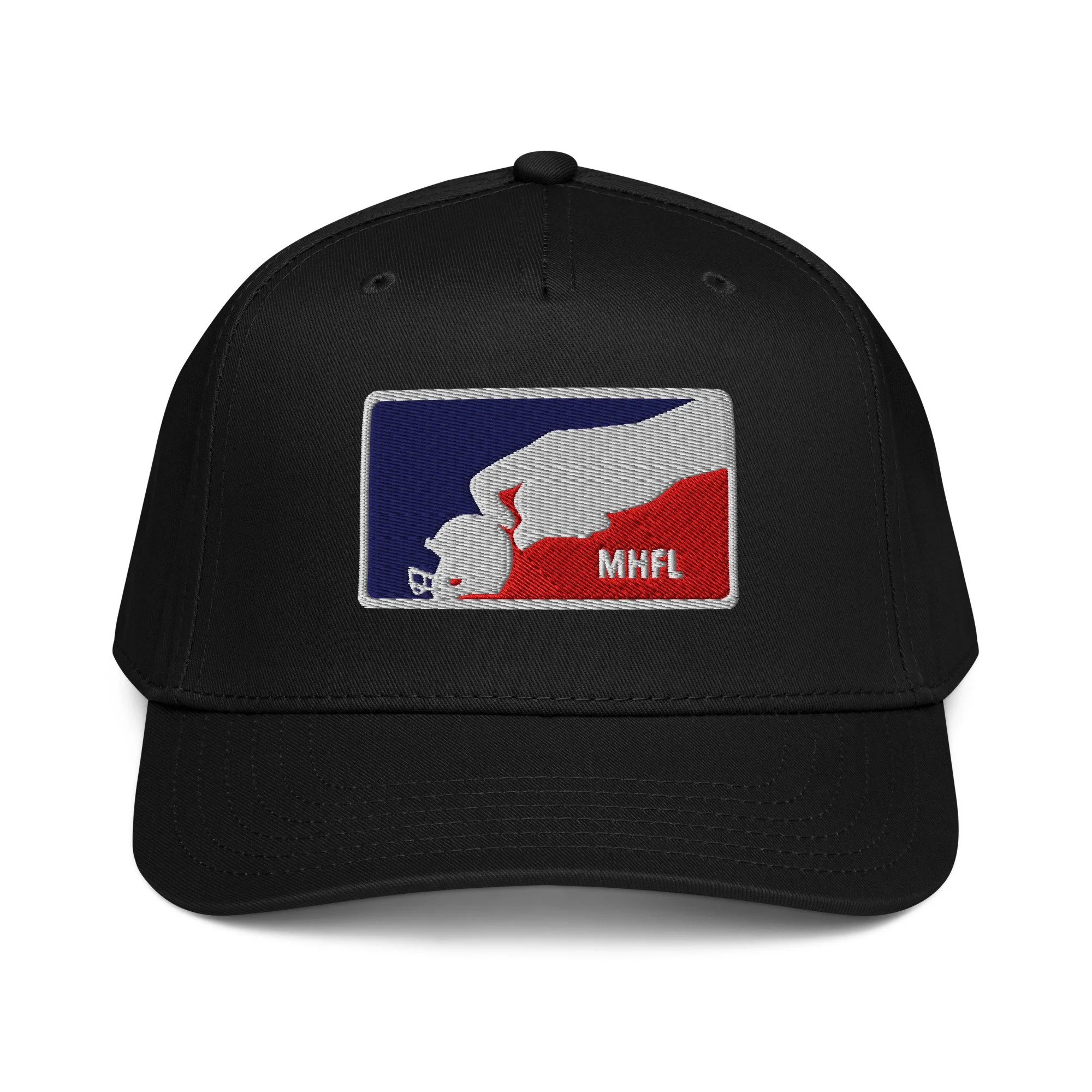 5 panel cap
