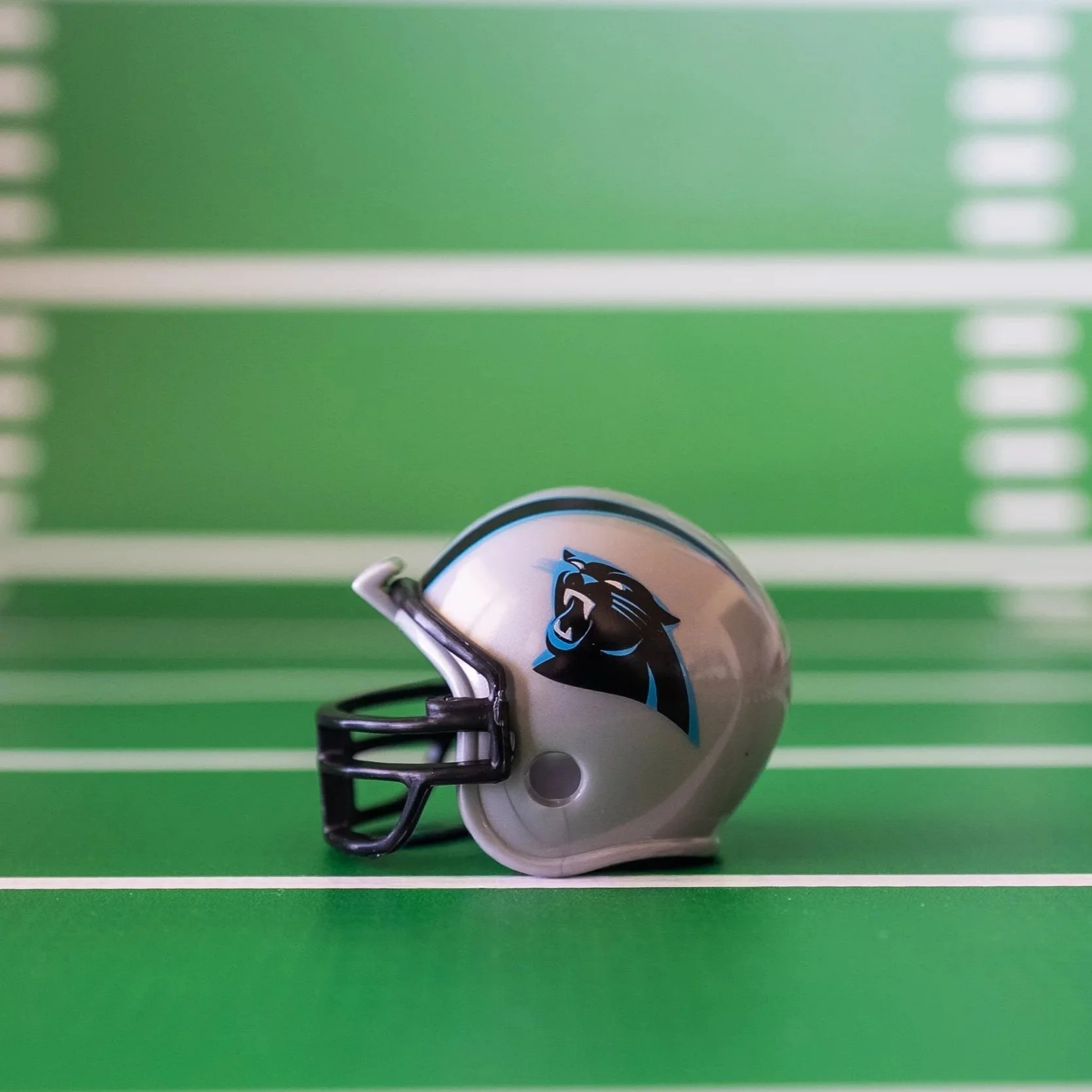 NFC South - Carolina Panthers