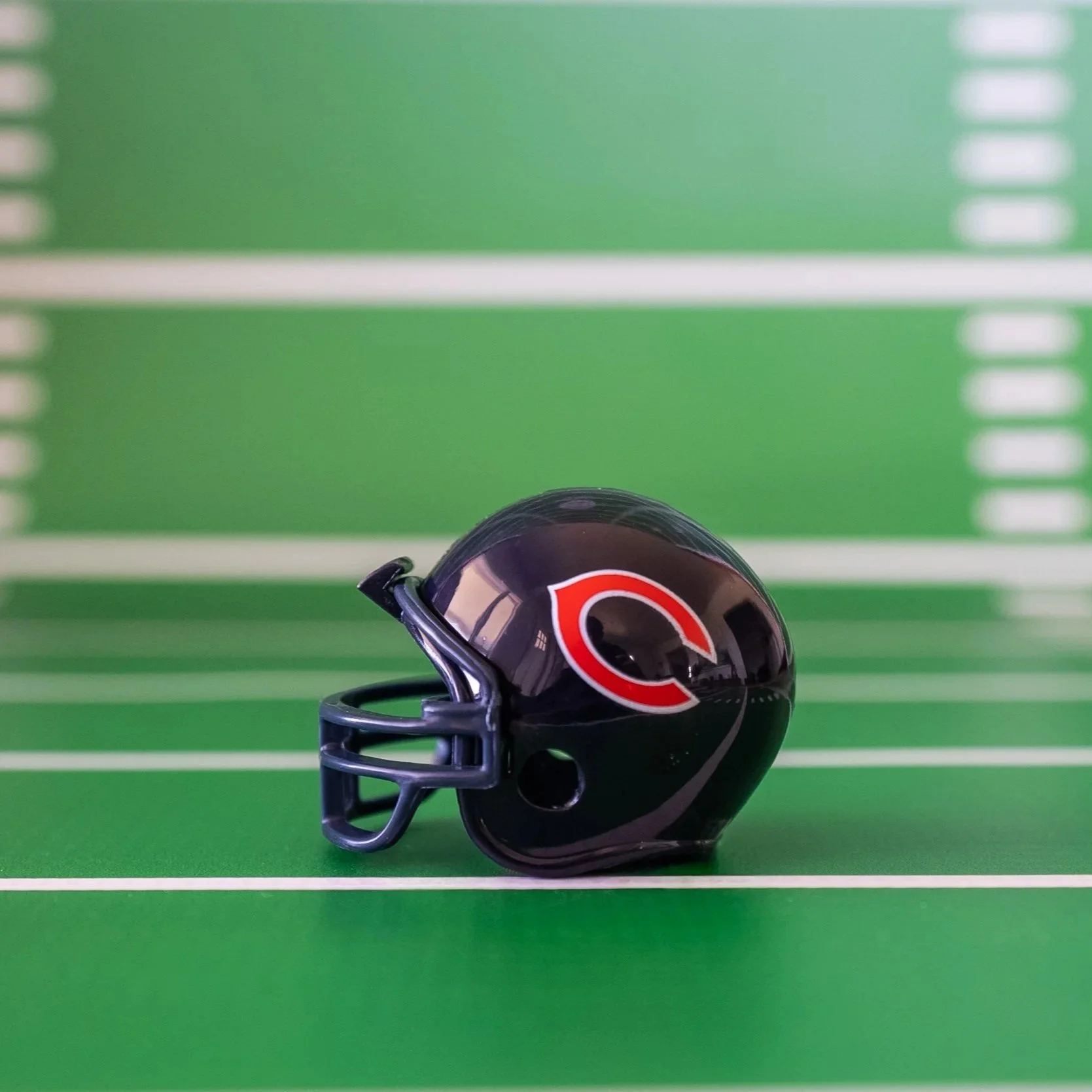 NFC North - Chicago Bears