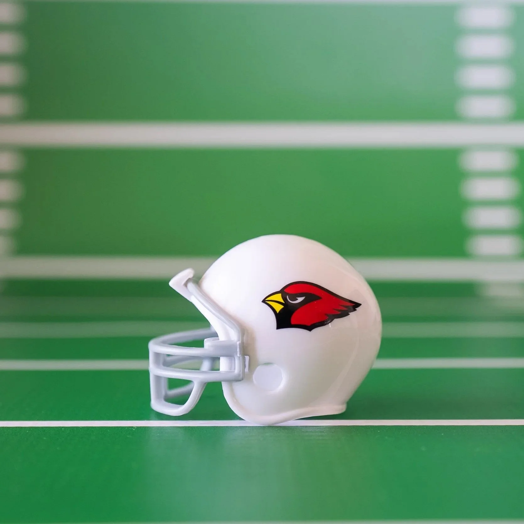 NFC West - Arizona Cardinals