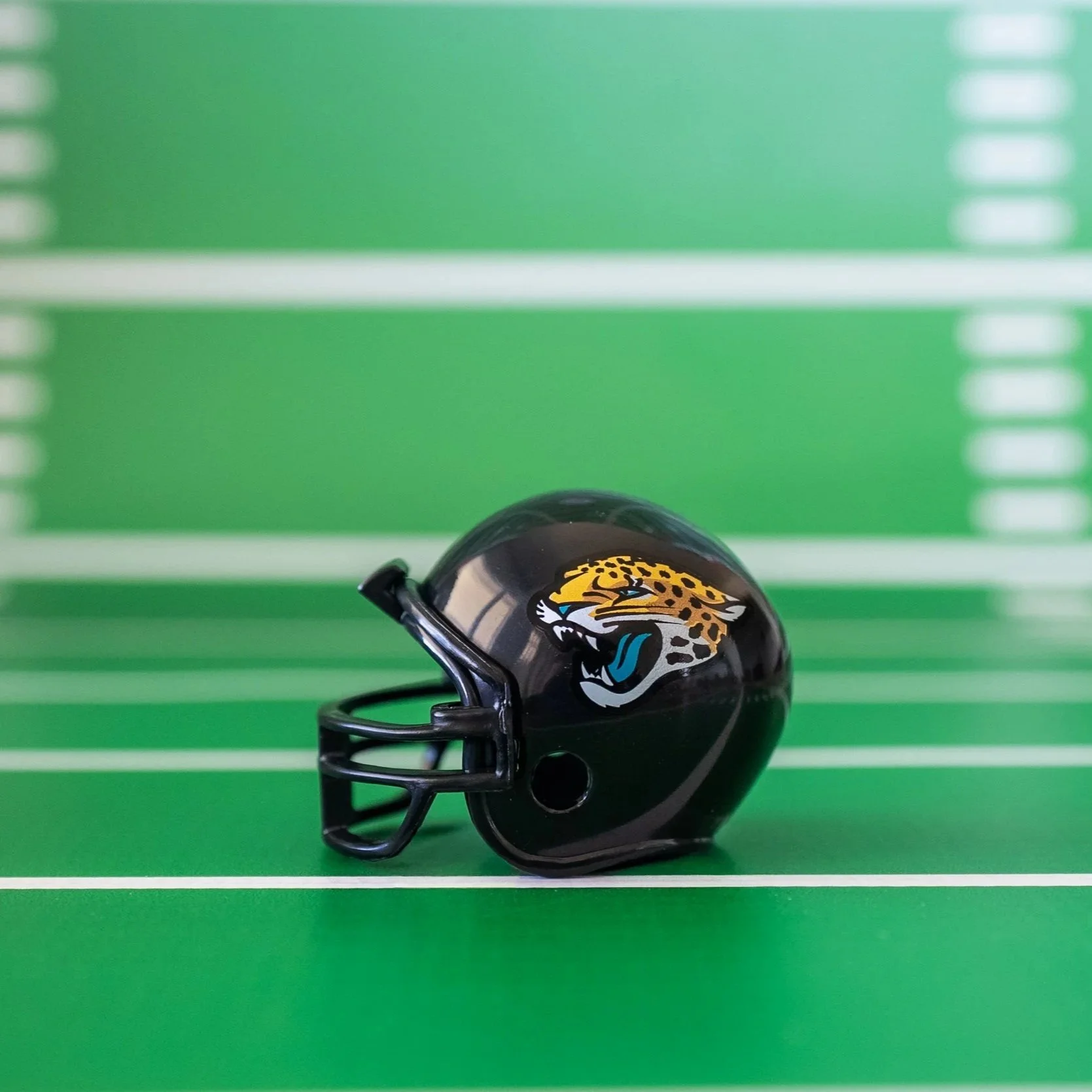 AFC South - Jacksonville Jaguars