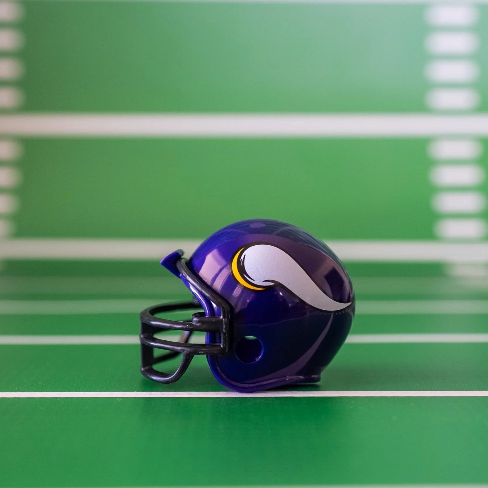 NFC North - Minnesota Vikings