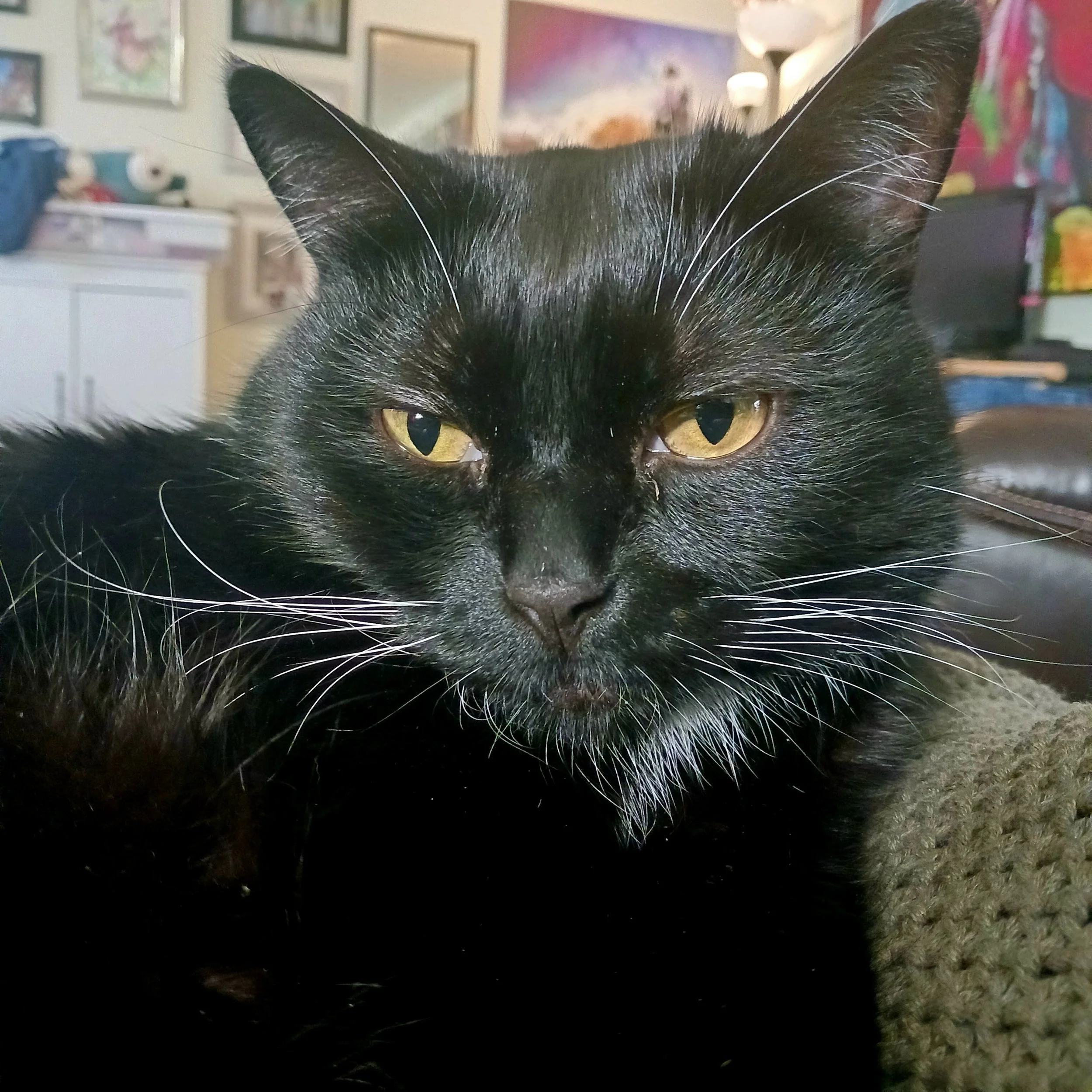 20260112_101010.jpg