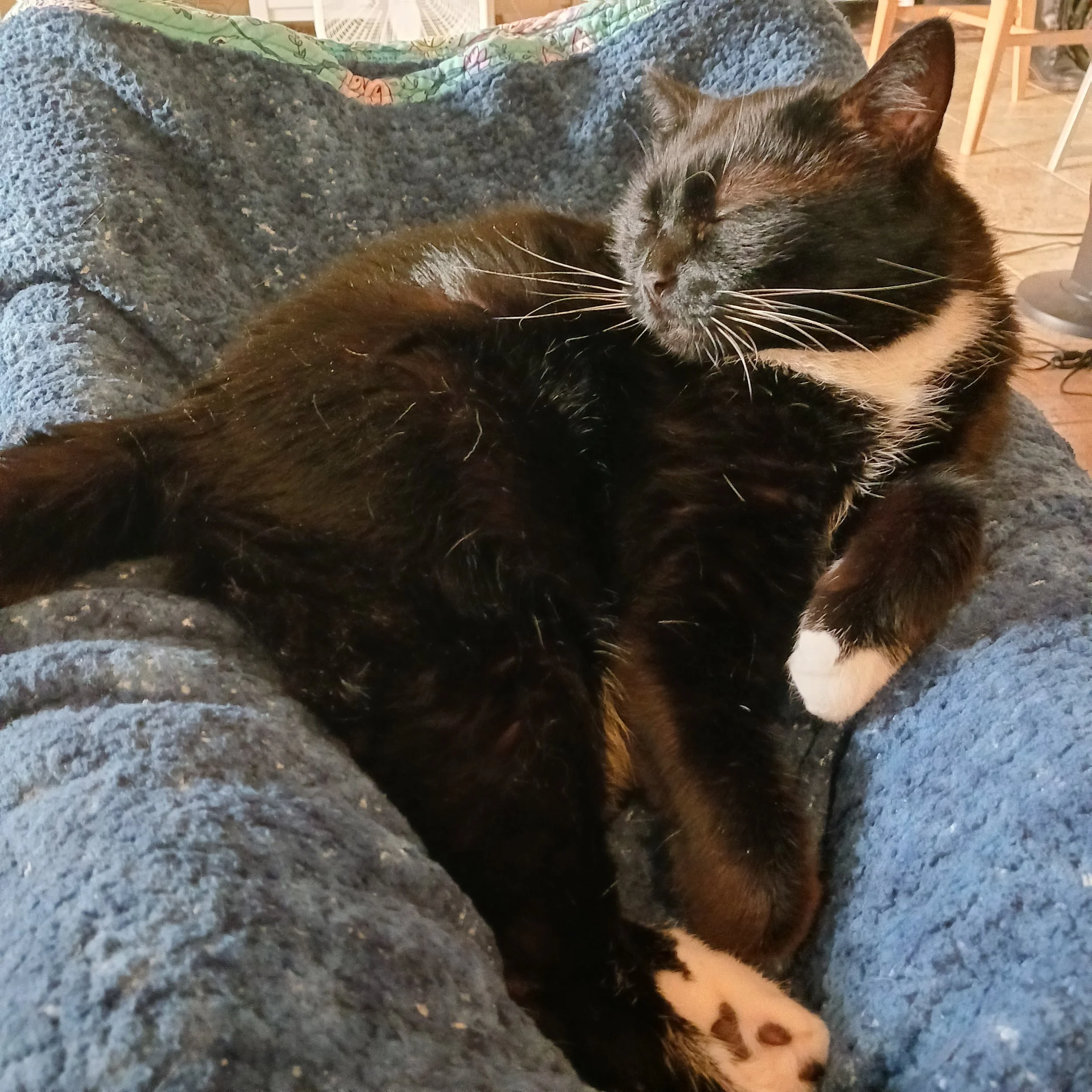 20251023_081721.jpg