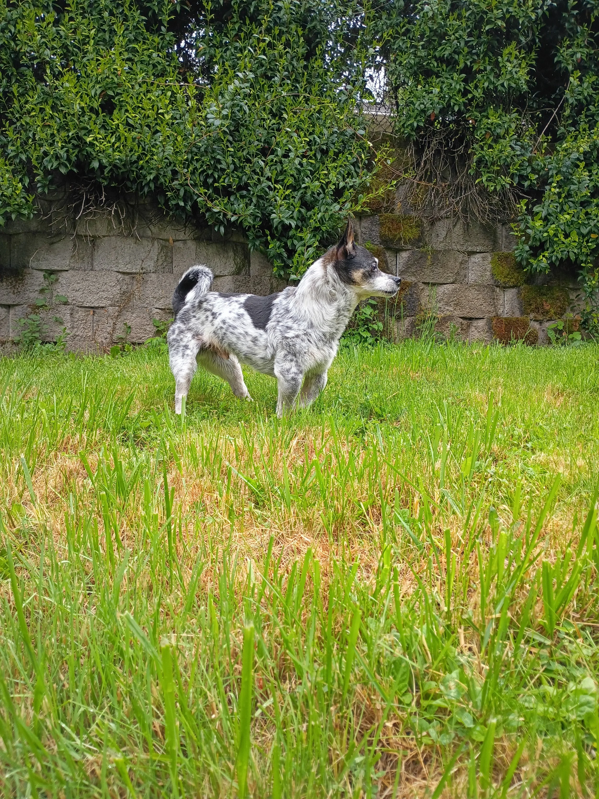 IMG_20260502_074627292_HDR.jpg