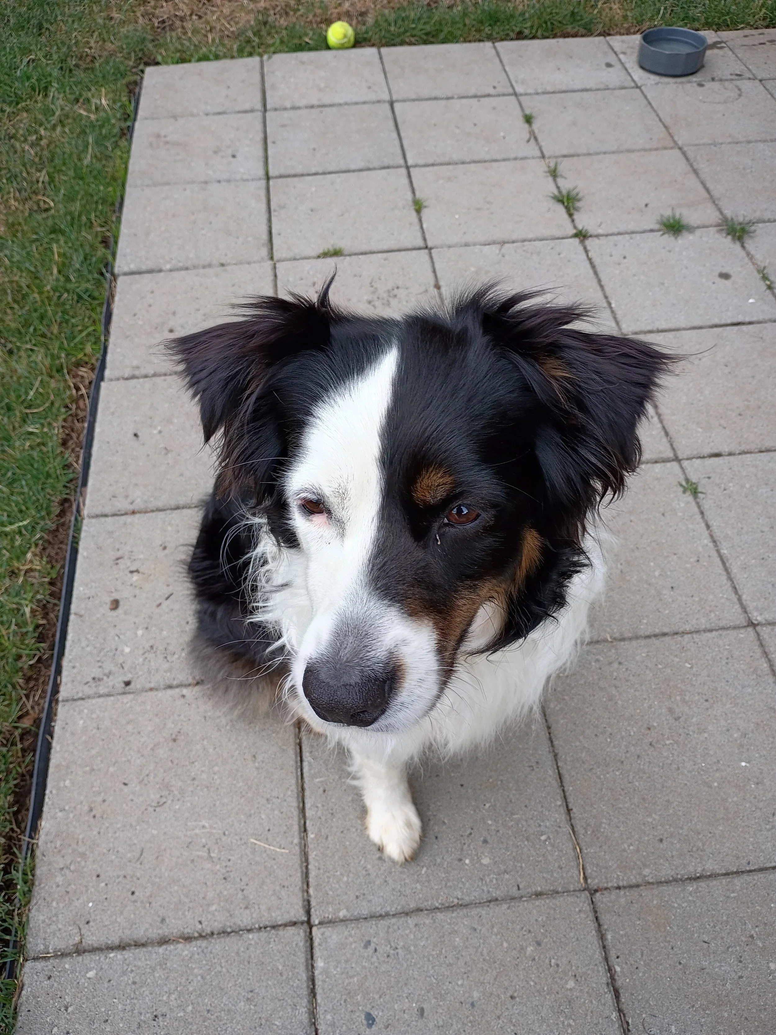 IMG_20260629_110300030_HDR.jpg