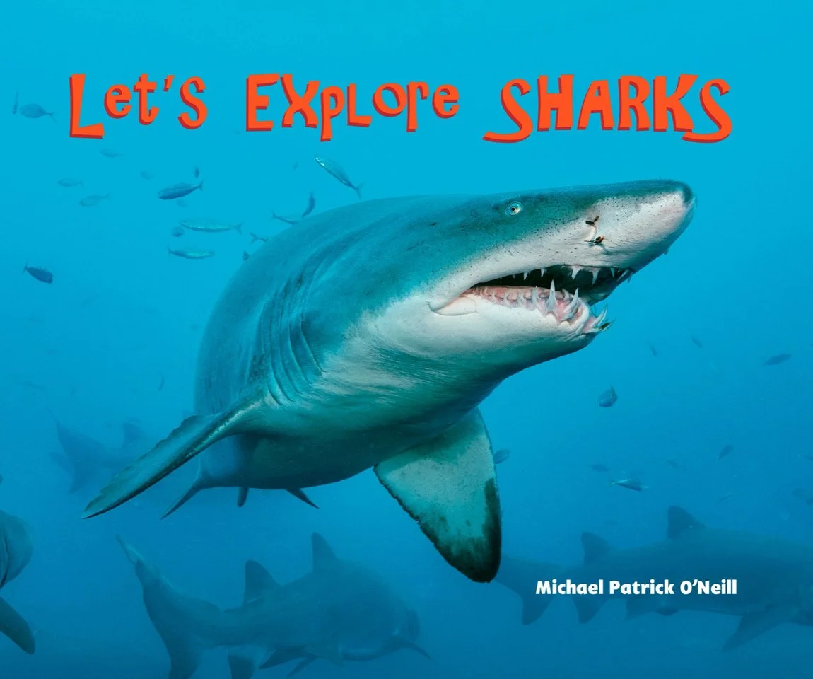Book cover titled "Let's Explore Sharks" by Michael Patrick O'Neill featuring a large shark with open mouth underwater surrounded by smaller fish.