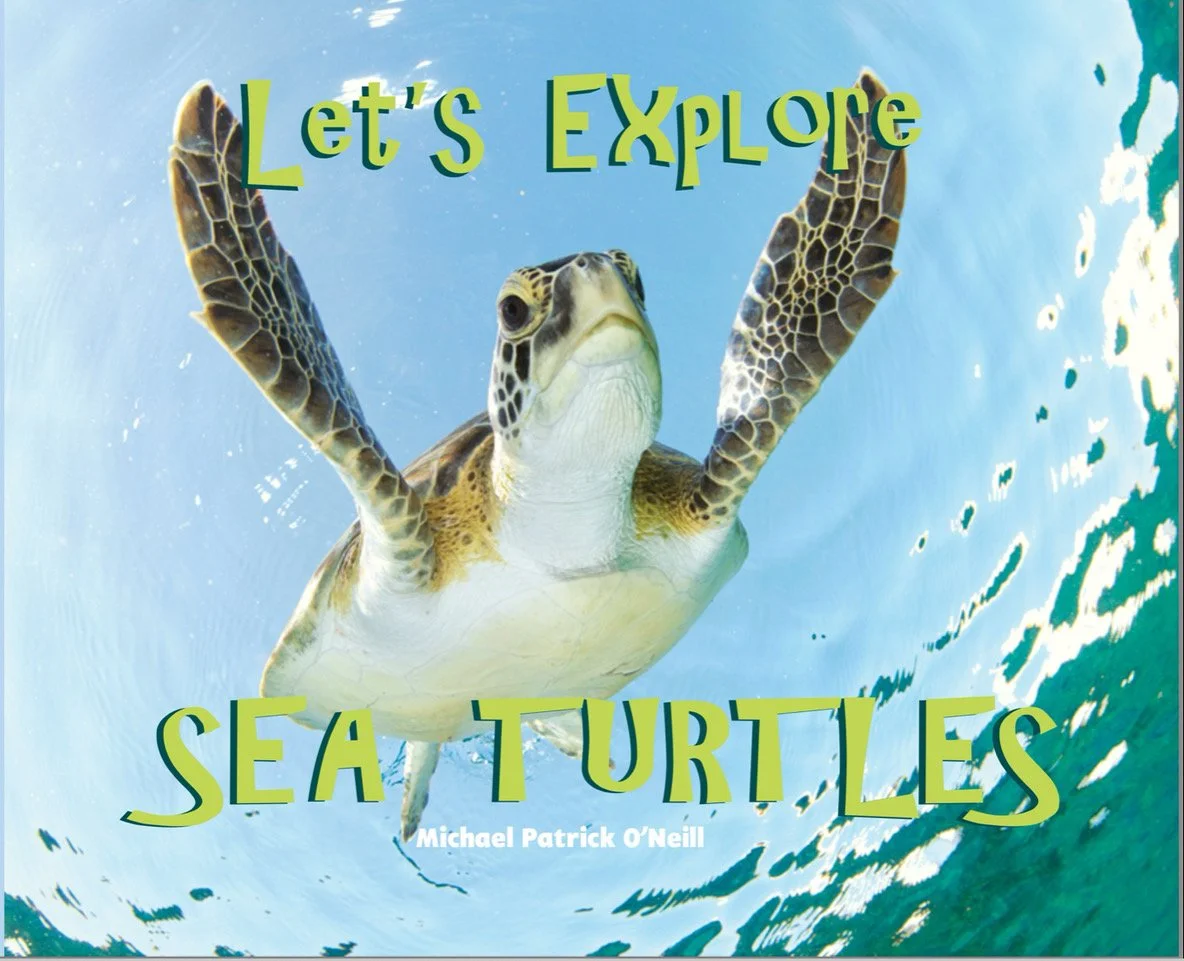 Book cover titled 'Let's Explore Sea Turtles' featuring a sea turtle swimming underwater.