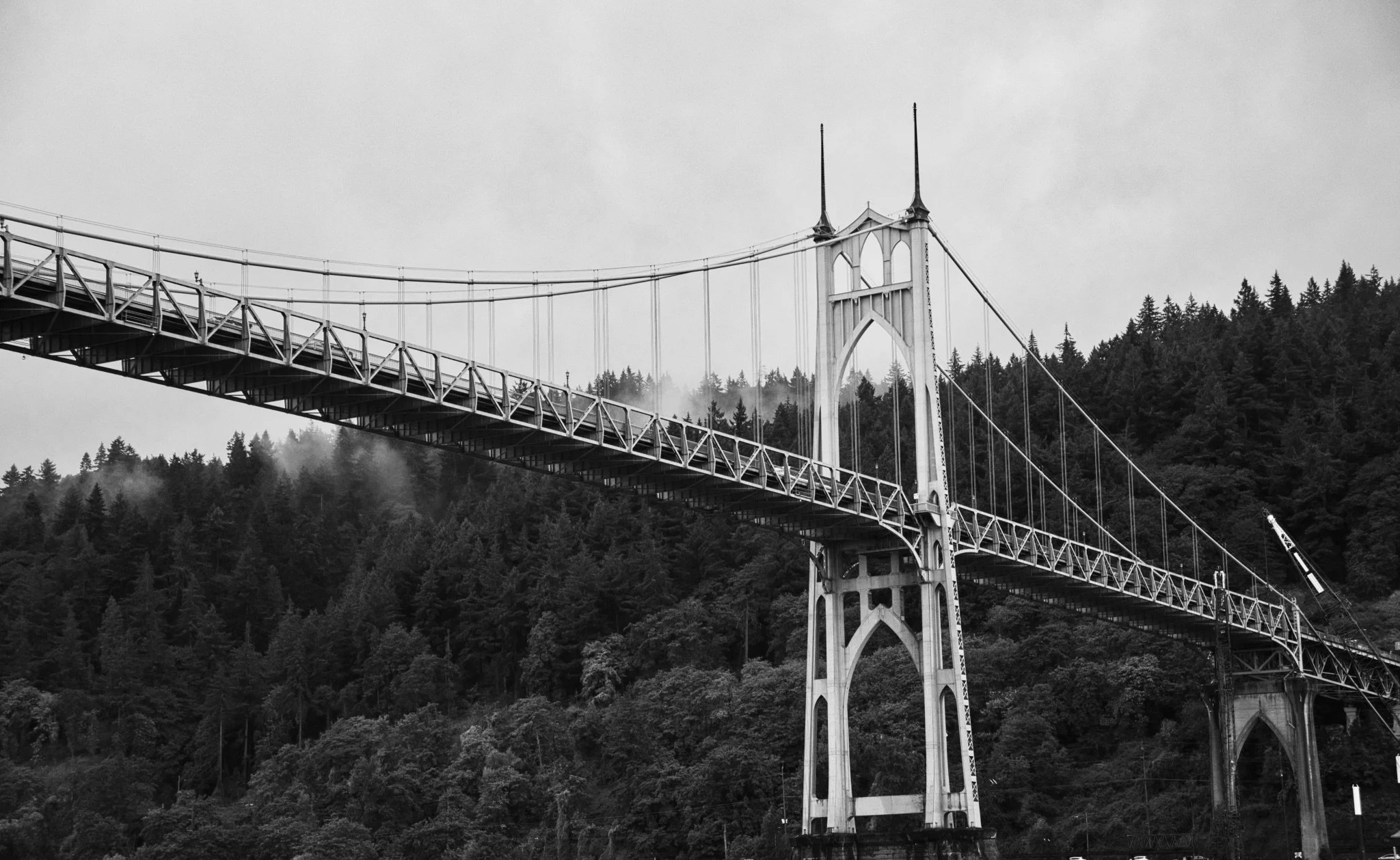 DSC_9534.jpeg