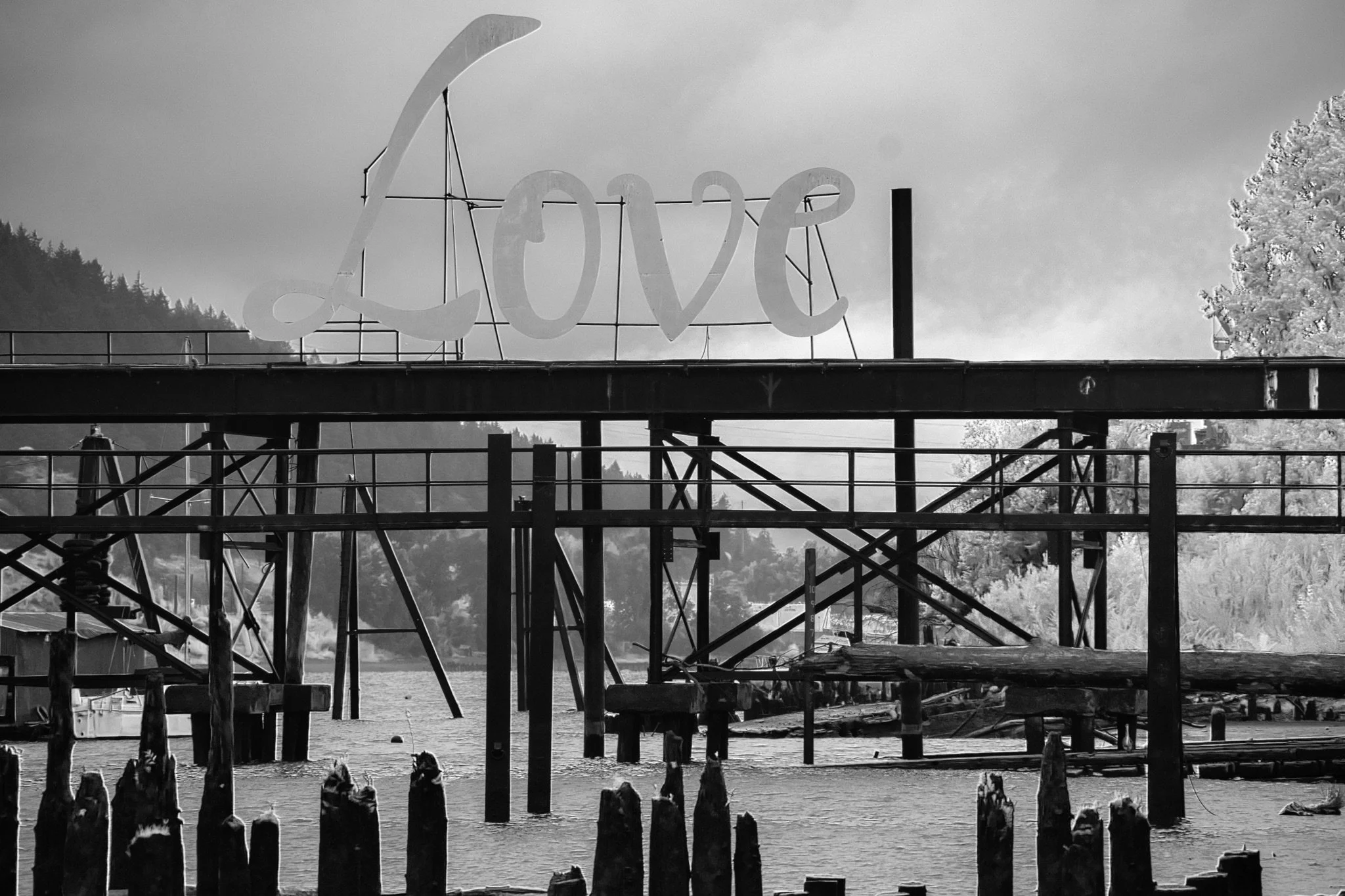 DSC_9530.jpeg