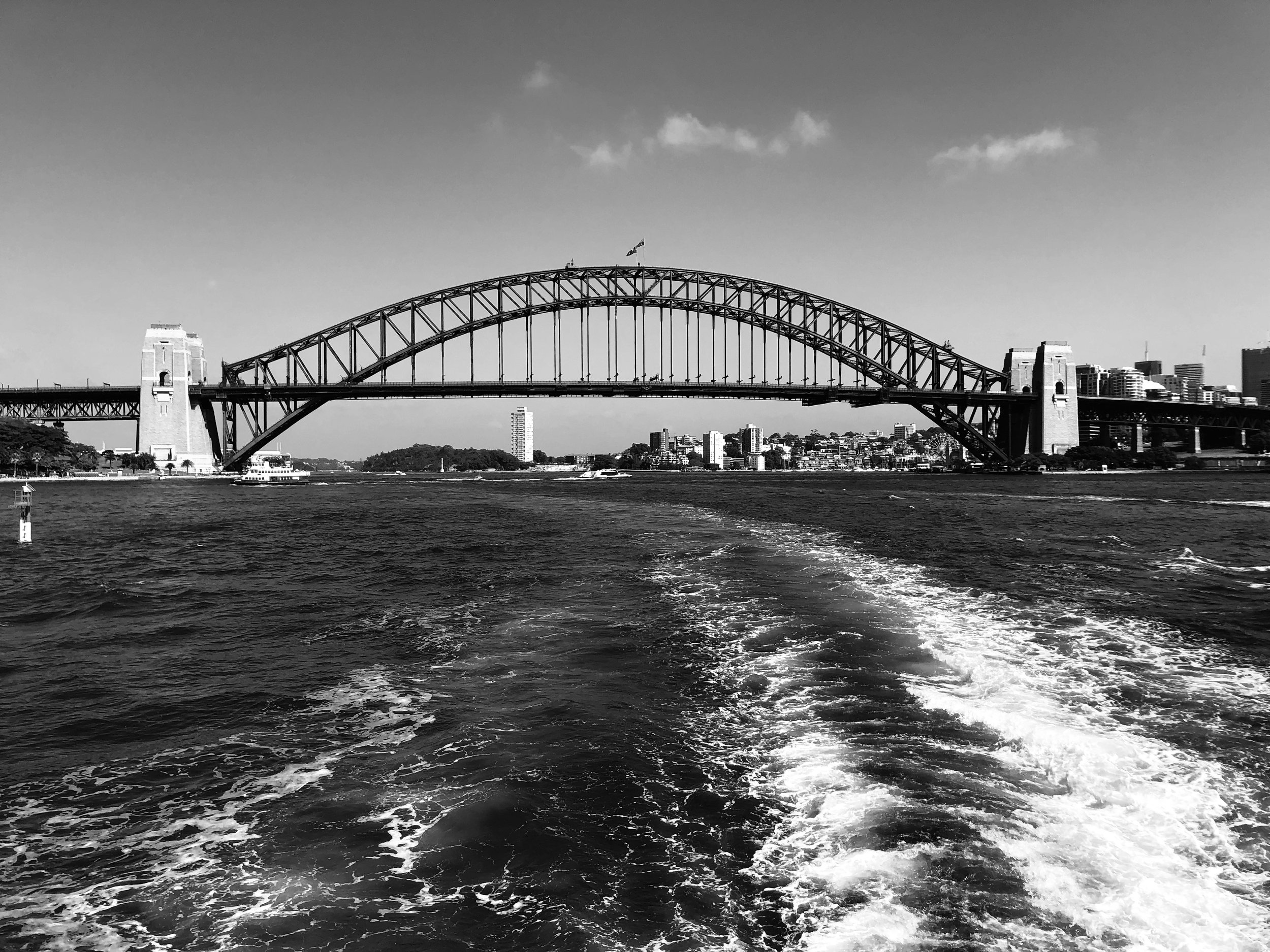 Harbor Wake