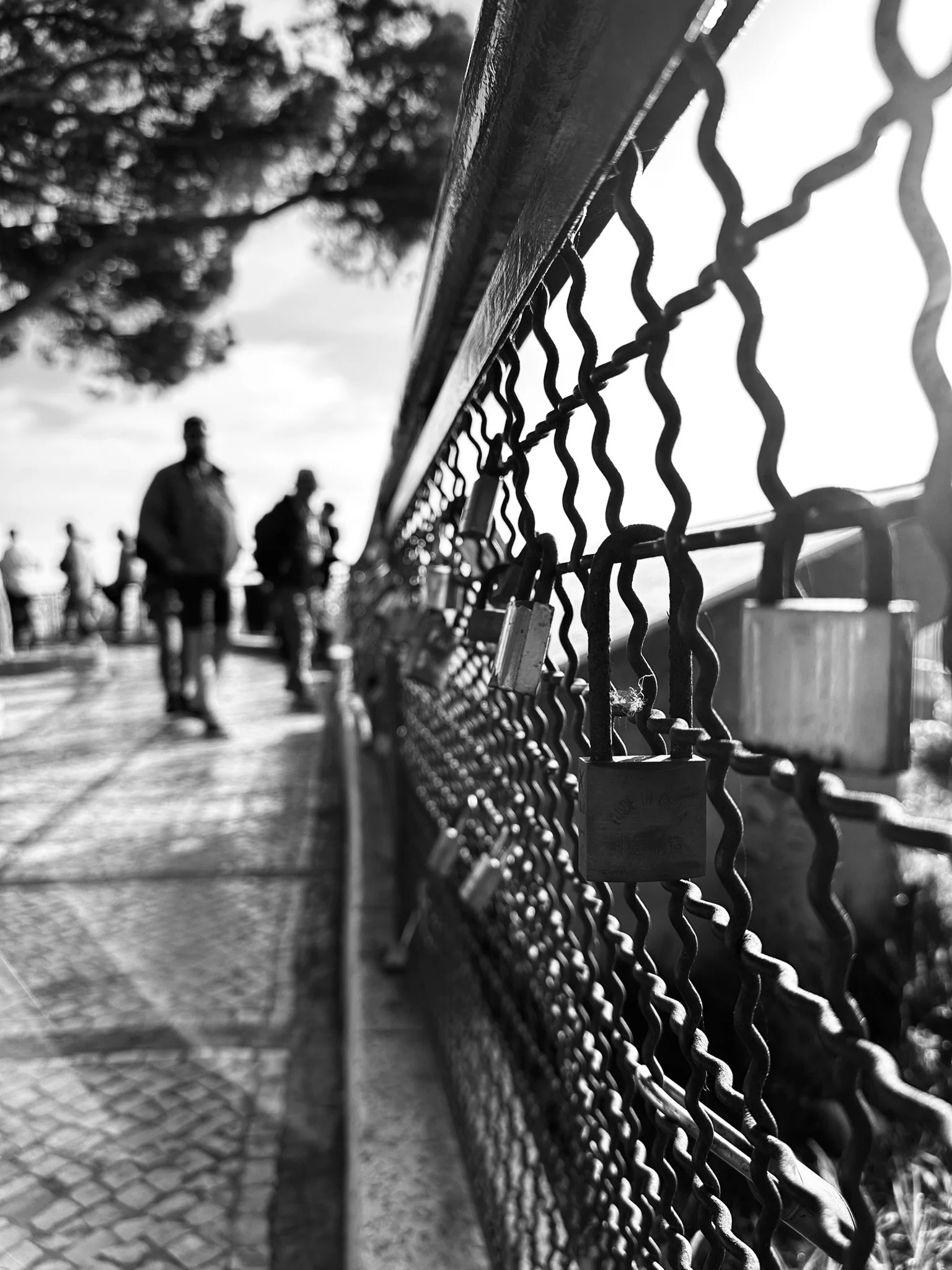 No Love Locks