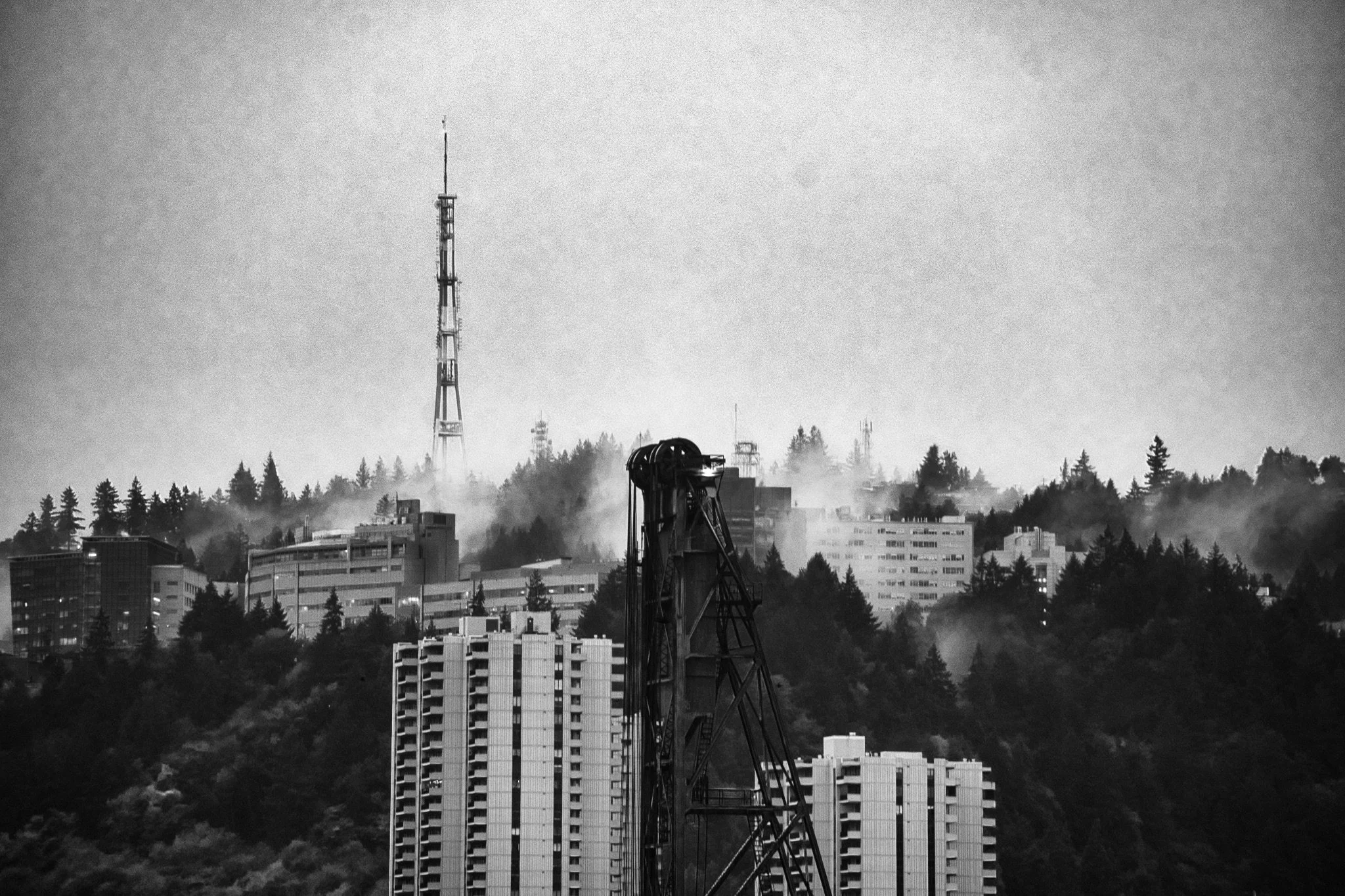 DSC_9525.jpeg