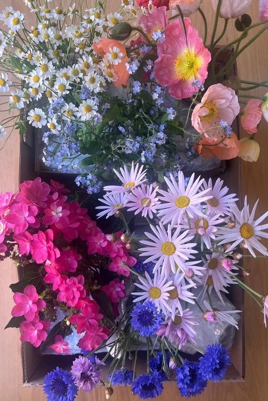 width-534.jpeg