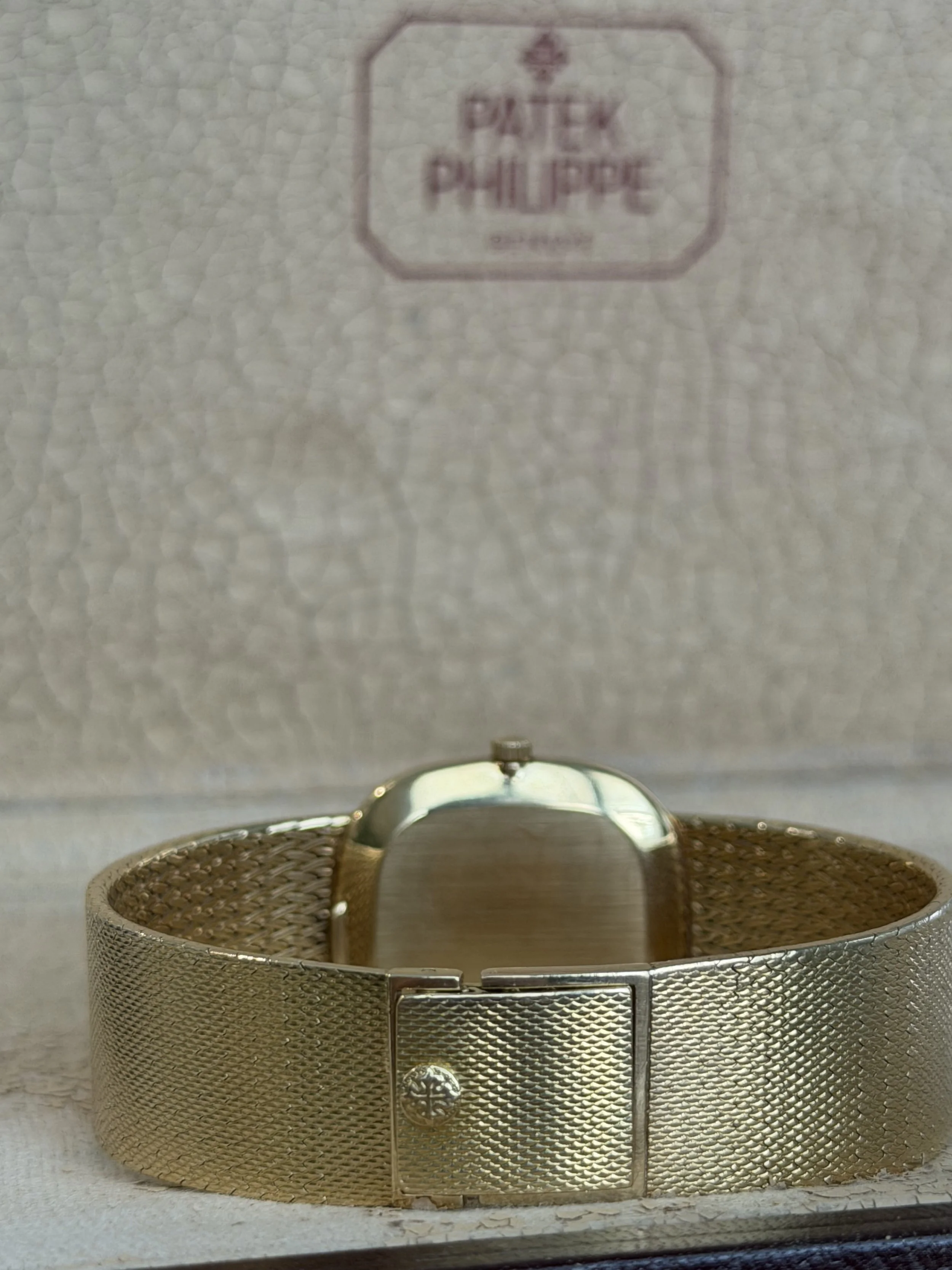 Patek Philippe Ellipse Blue Dial Rear Clasp.JPG