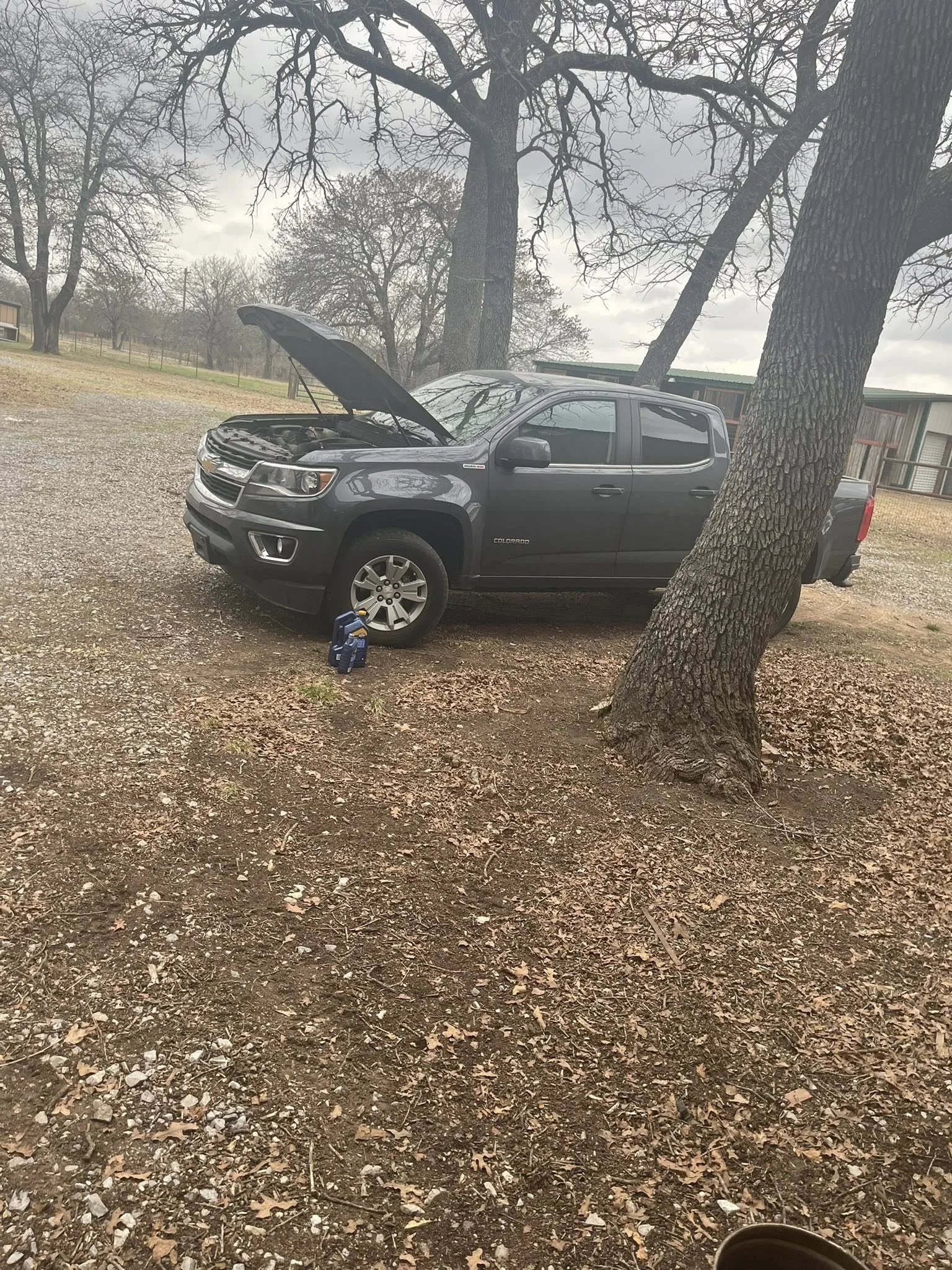 Auto Project - 3.5.26