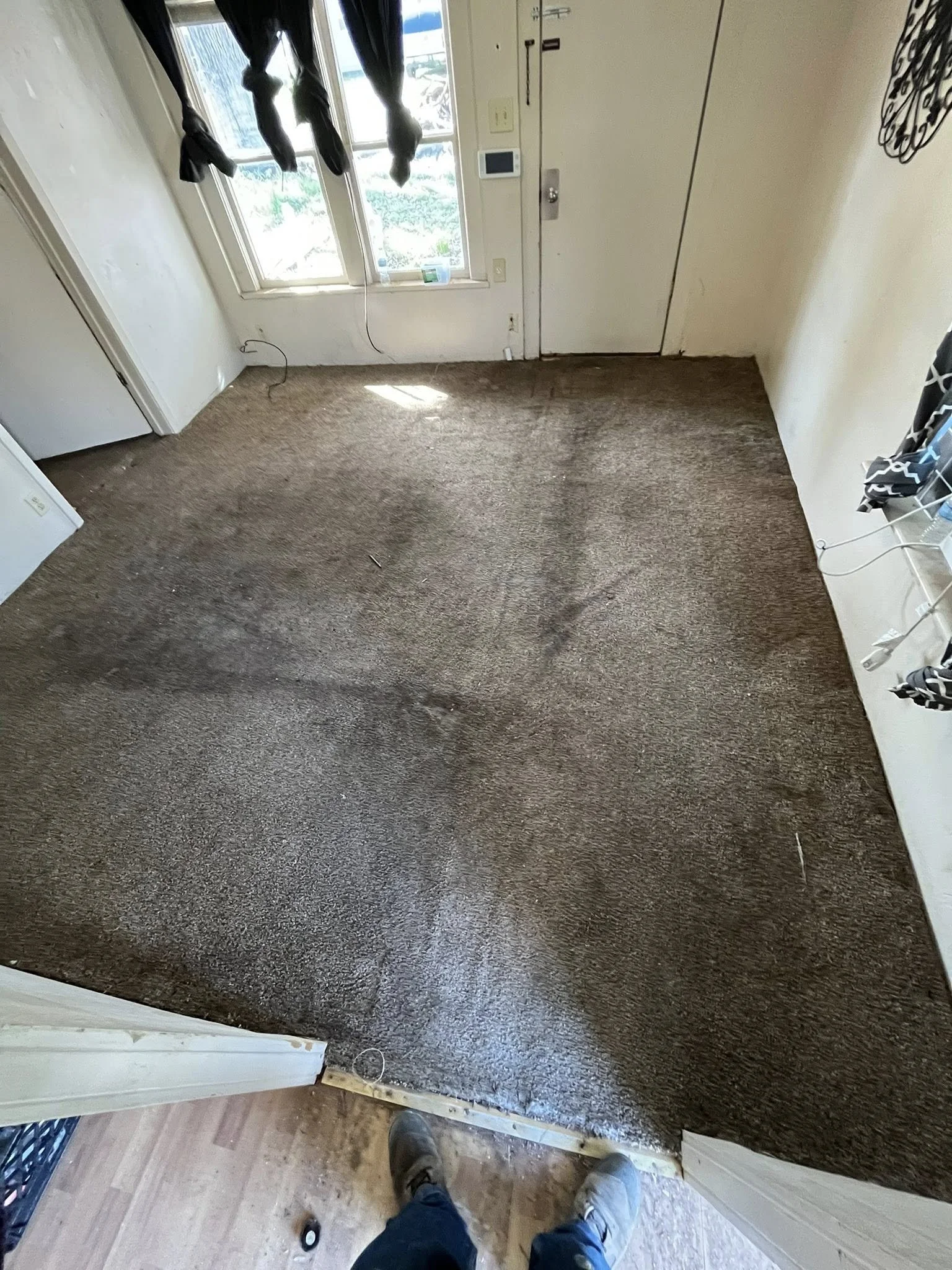 Flooring Project - 3.19.26
