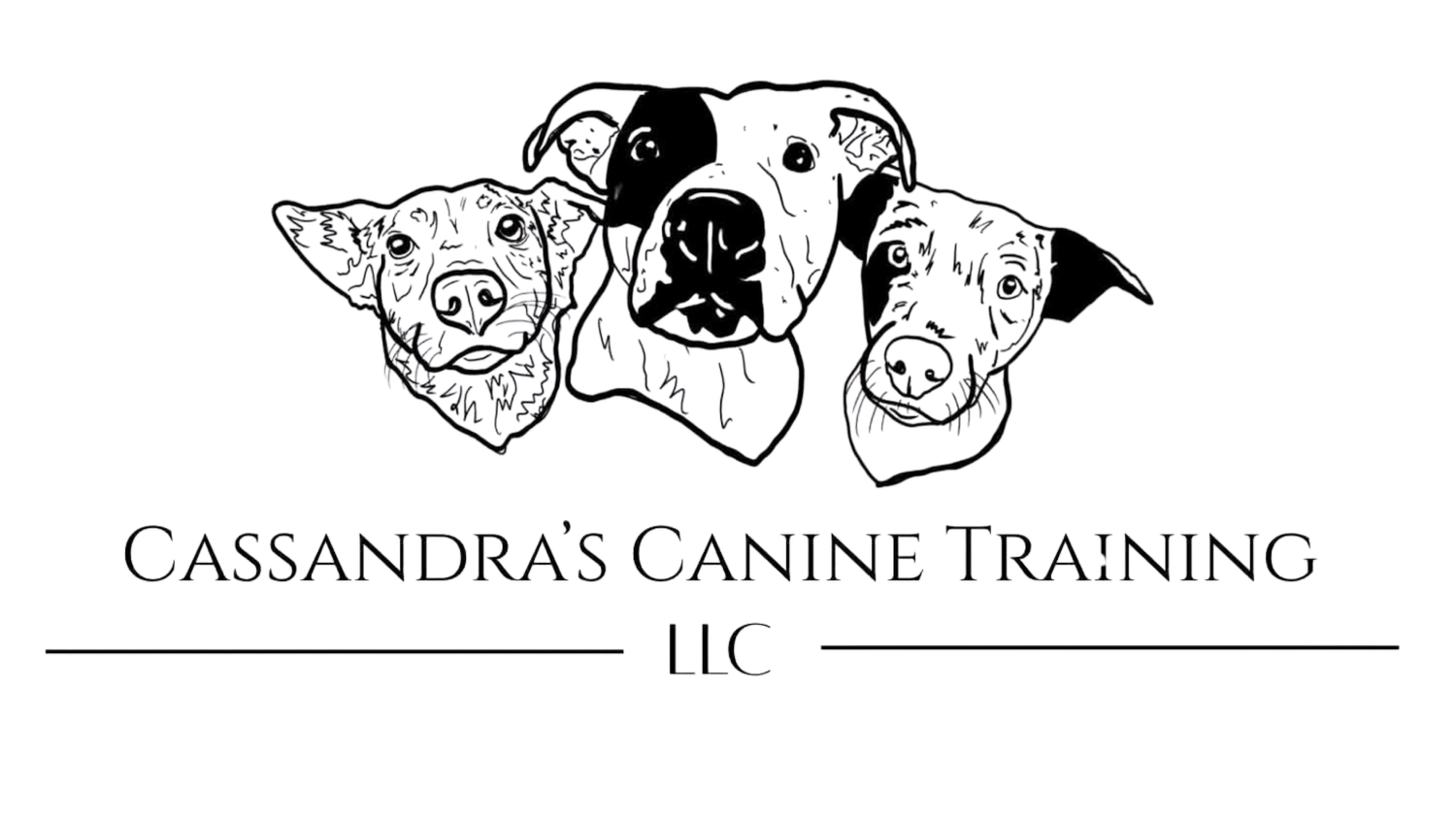 Cassandra's Canine Training