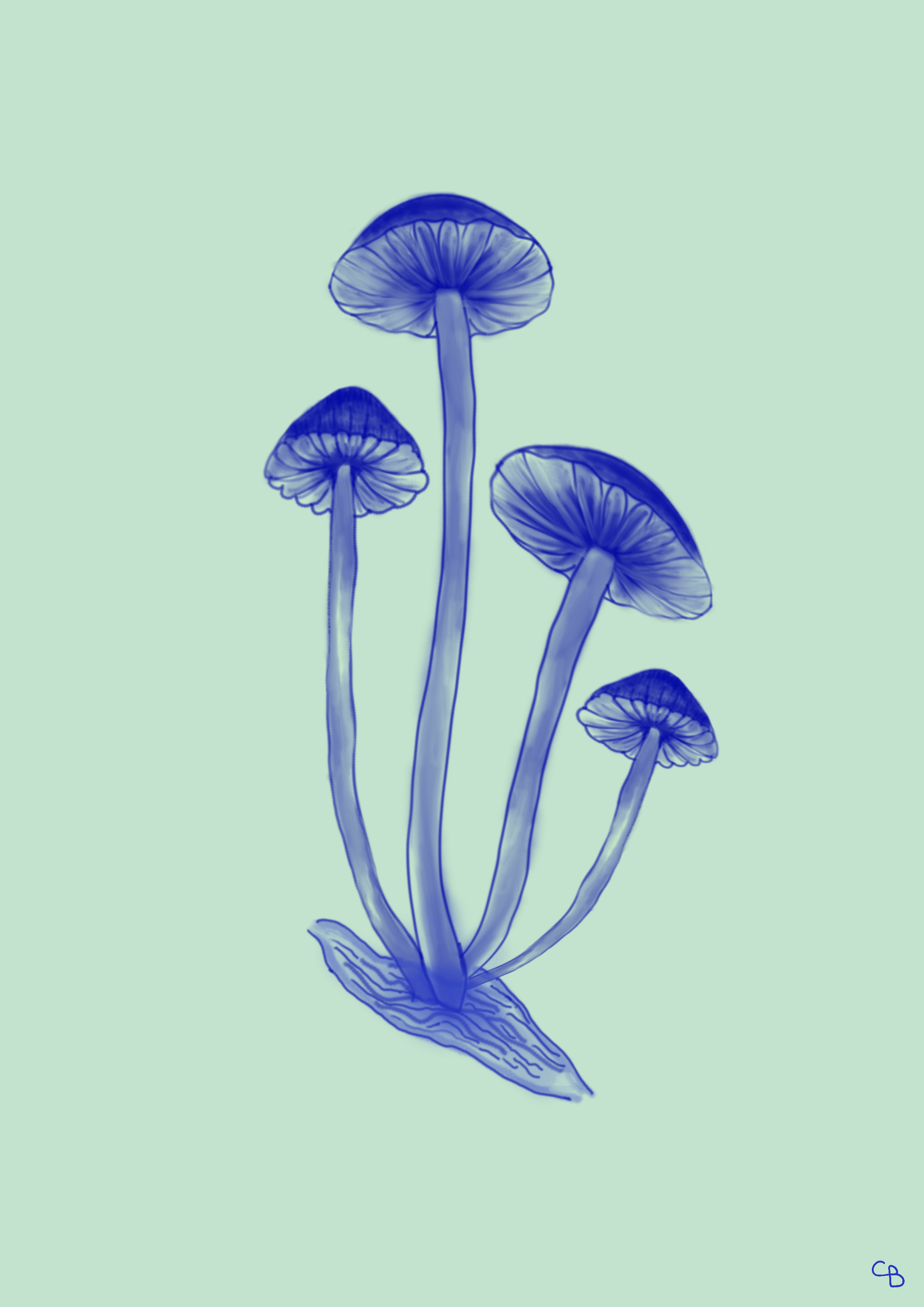 1000006361.png