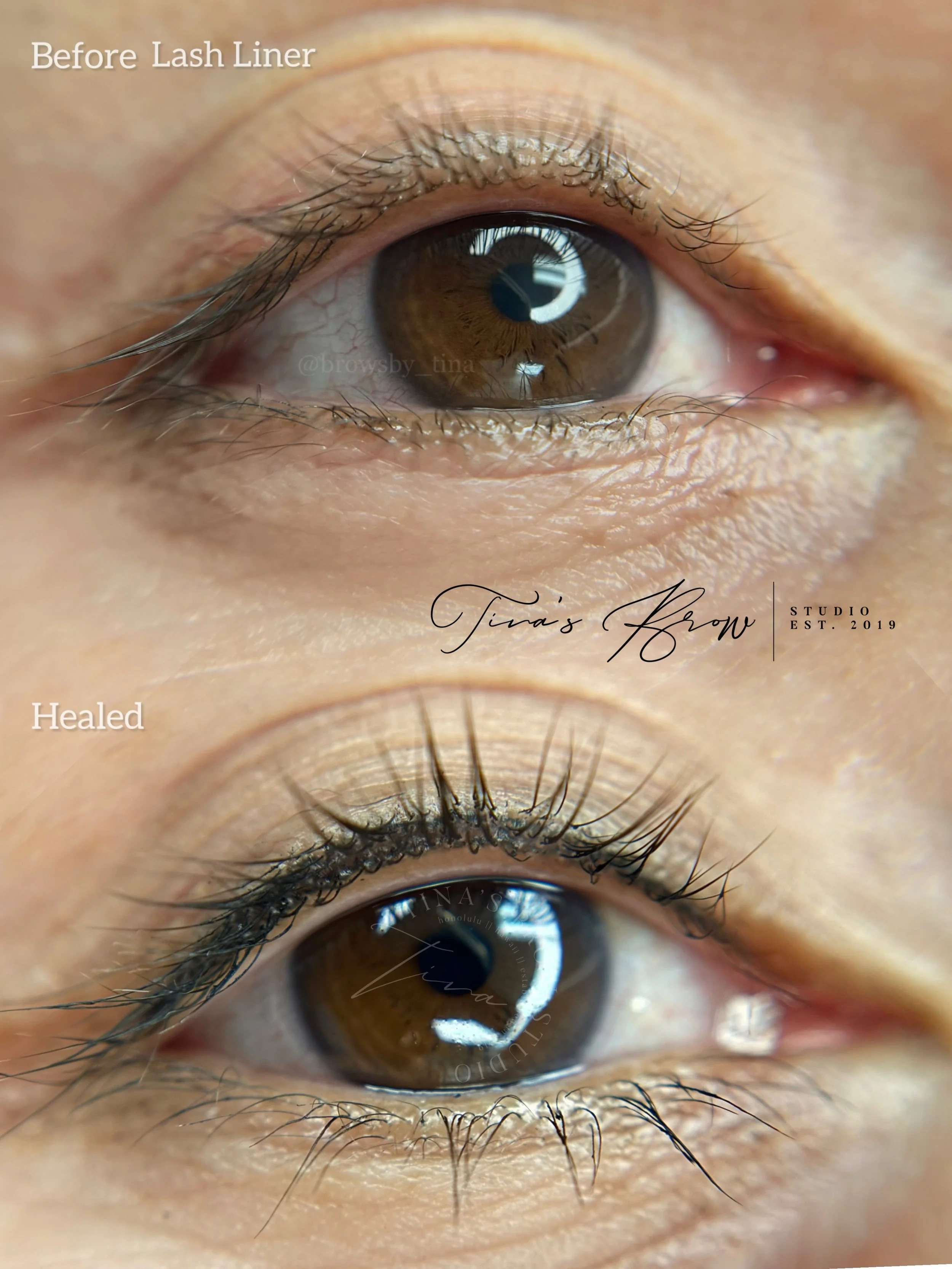 lash line1.jpg
