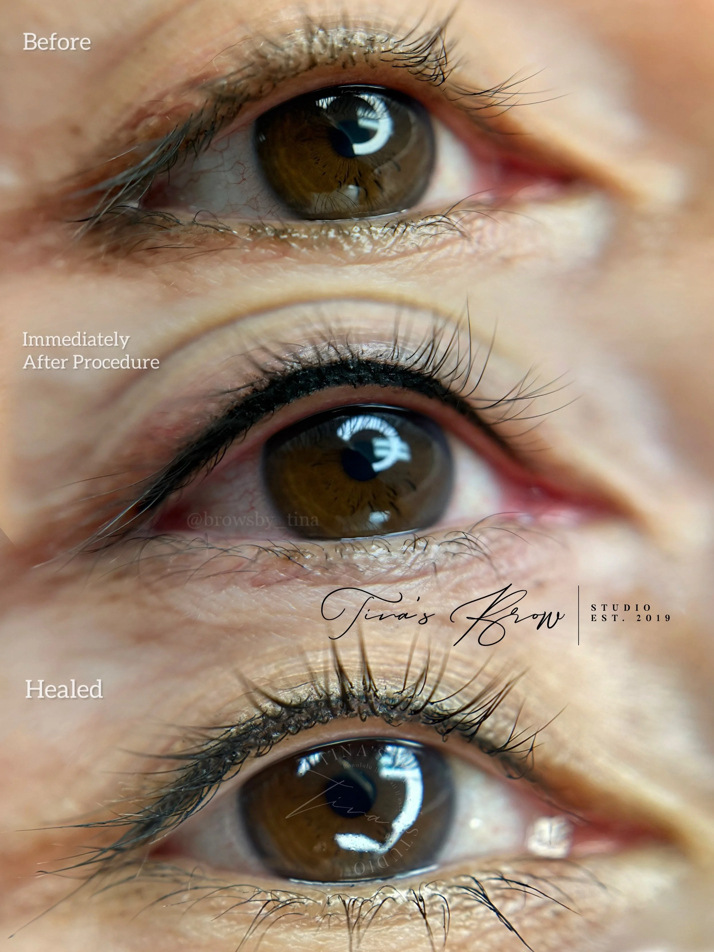 lash line.jpg