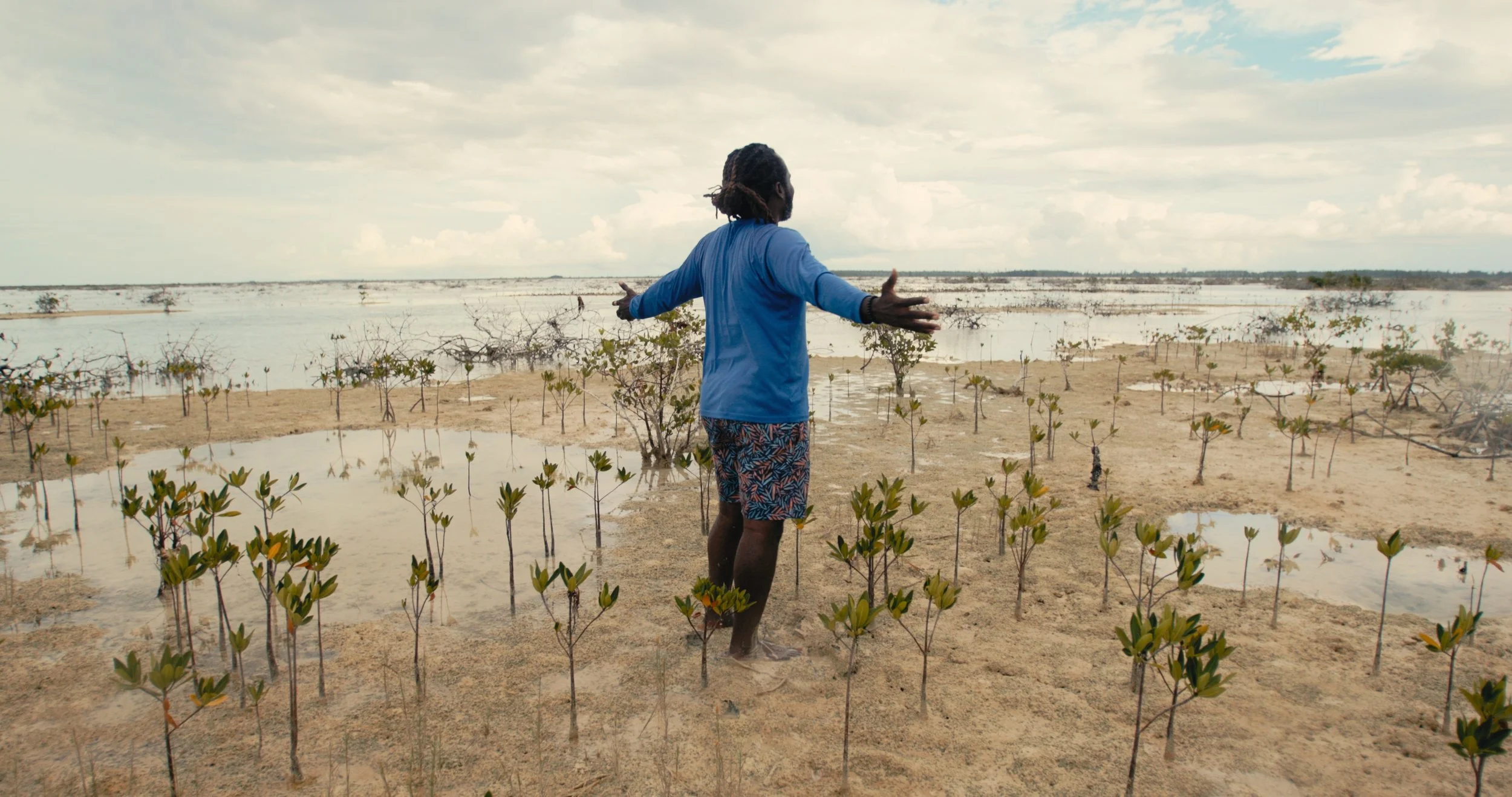A man standing on a sandy shoreline with small green plants emerging from the water, overlooking a vast body of water with scattered trees, under a cloudy sky.