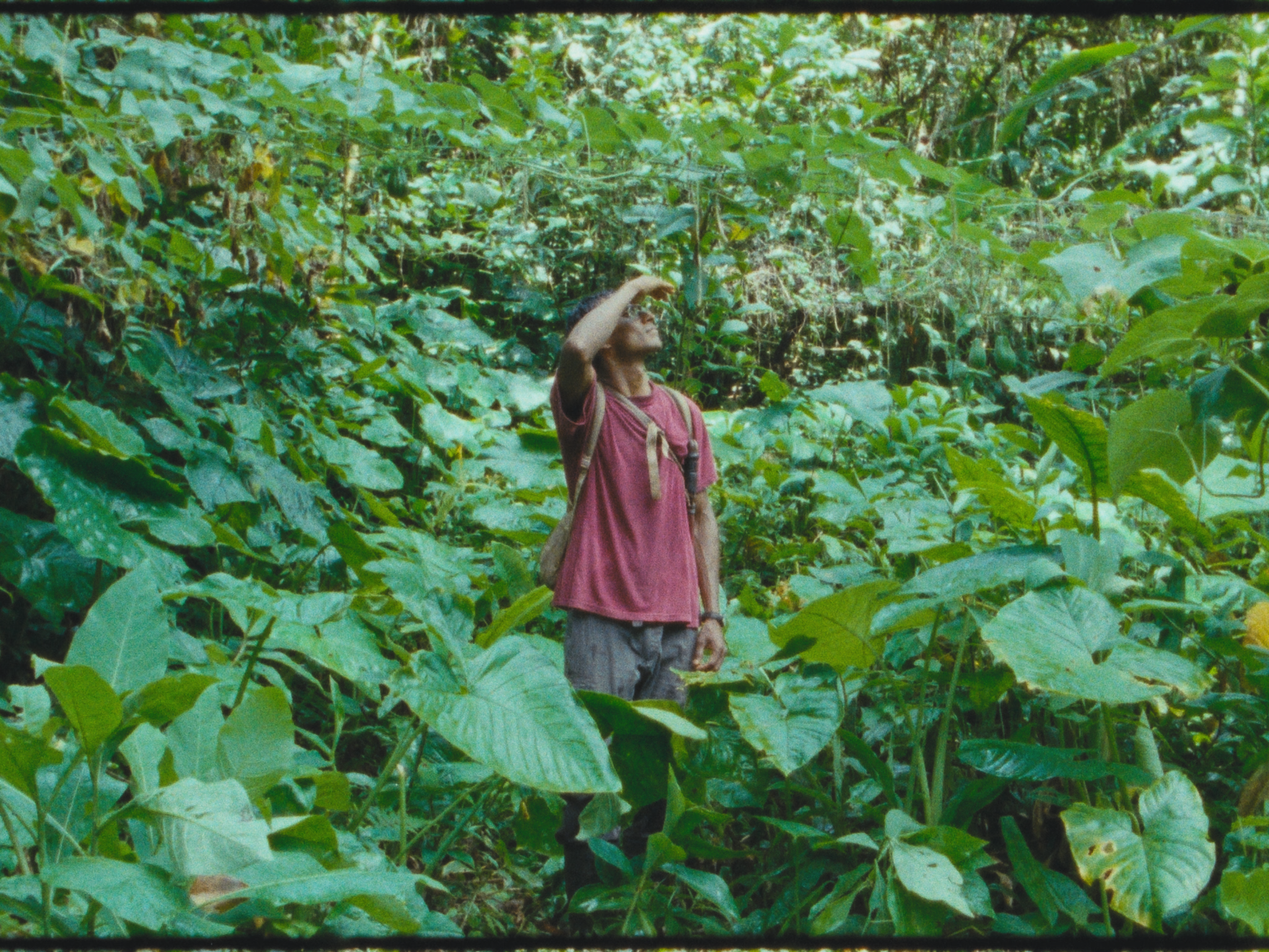 Trinitario Film Stills-17.png