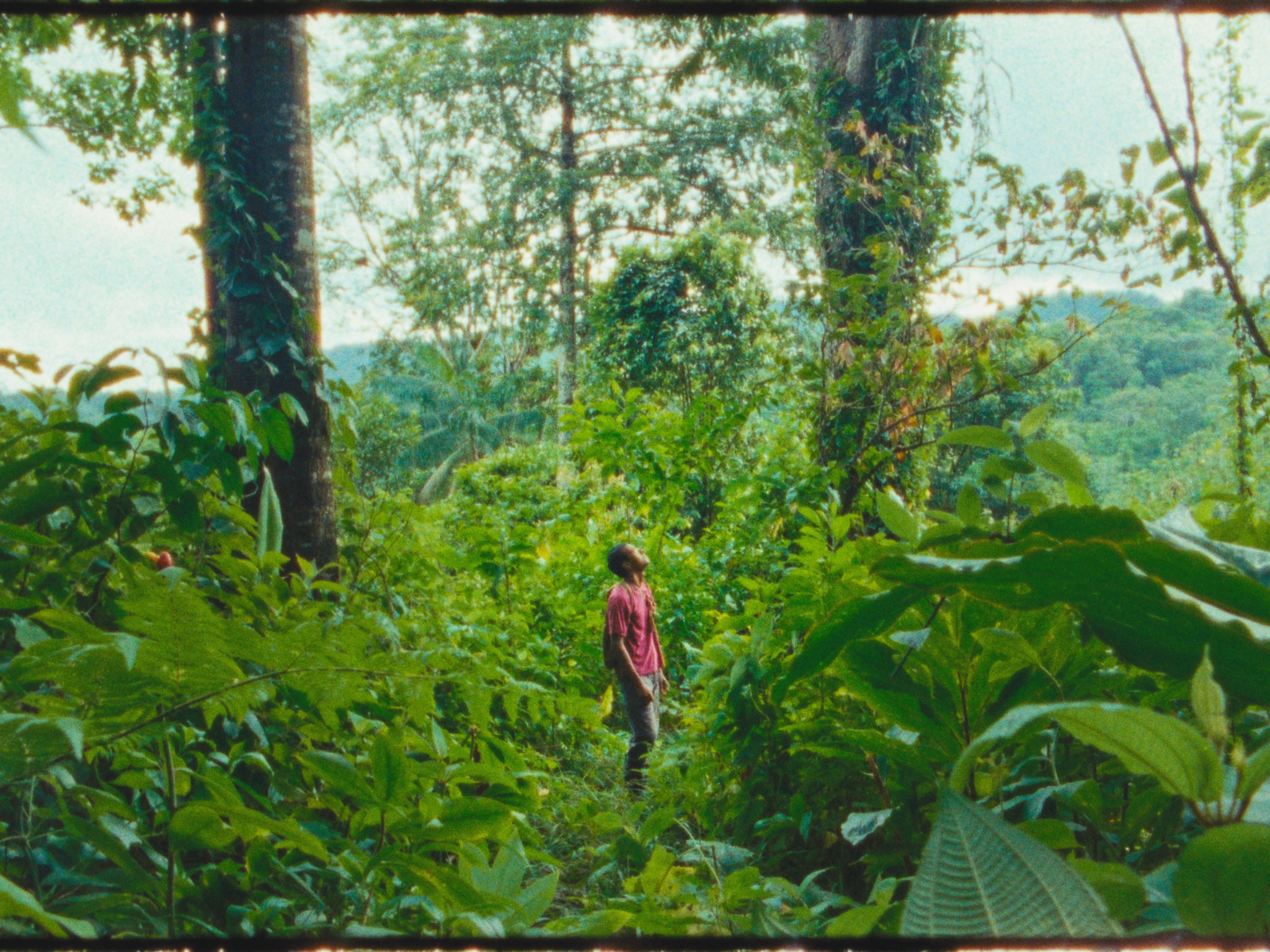 Trinitario Film Stills-14.png