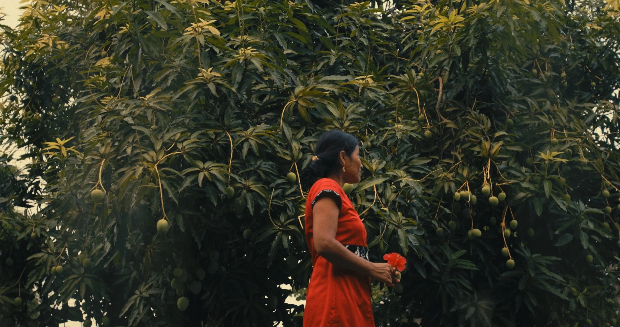 XE_IL_DeniseSpeck_FilmStill_11.jpg