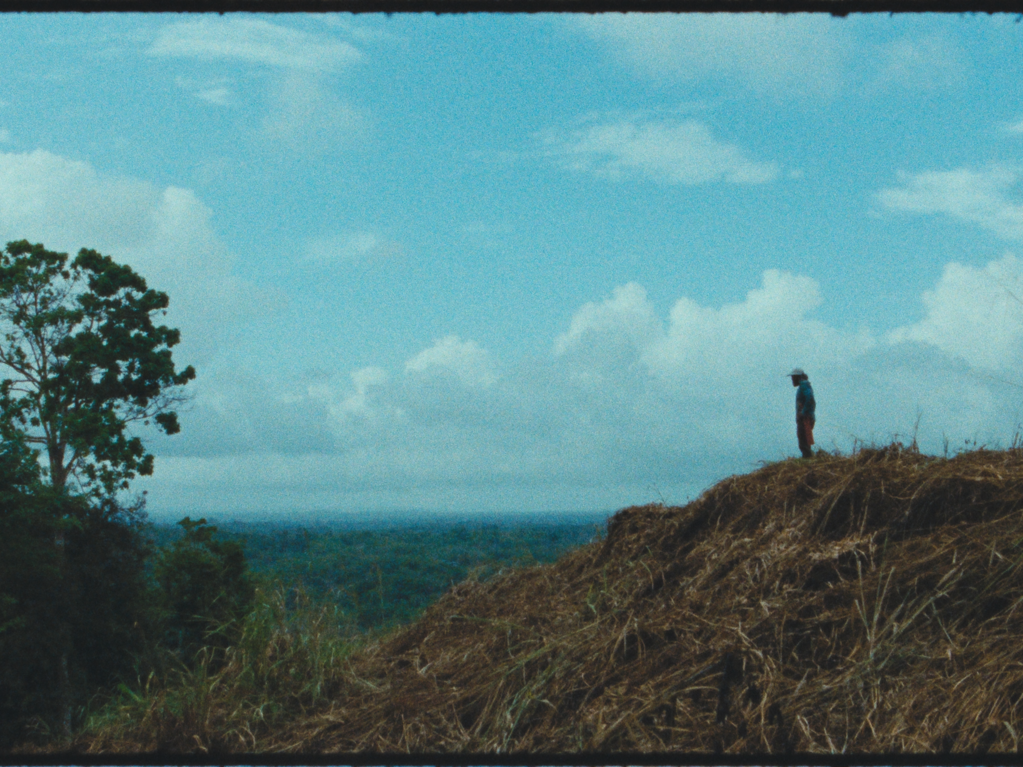 Trinitario Film Stills-15.png