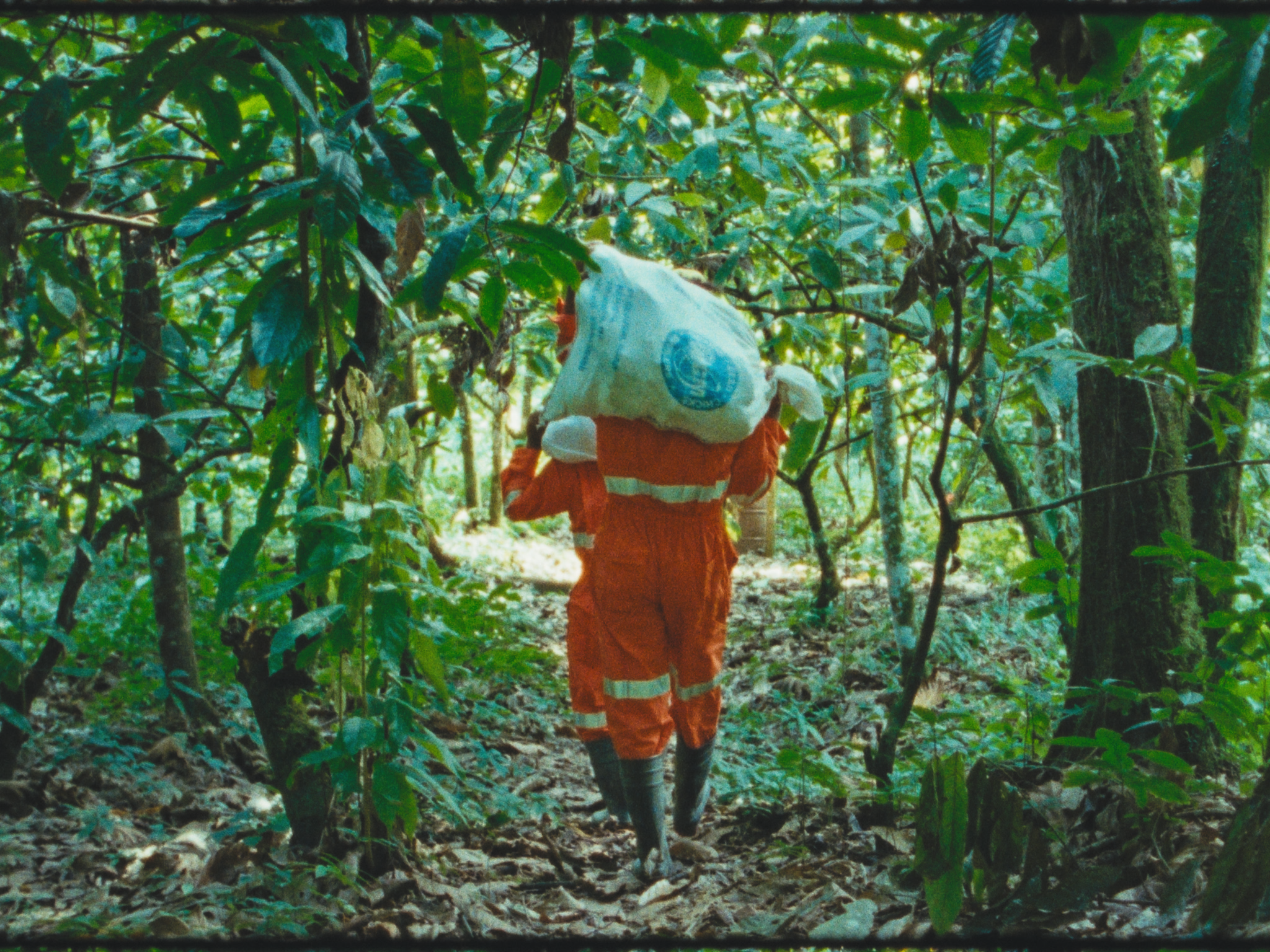 A person in orange safety gear and a white helmet carrying a bag is walking through a dense green forest, surrounded by trees and foliage.