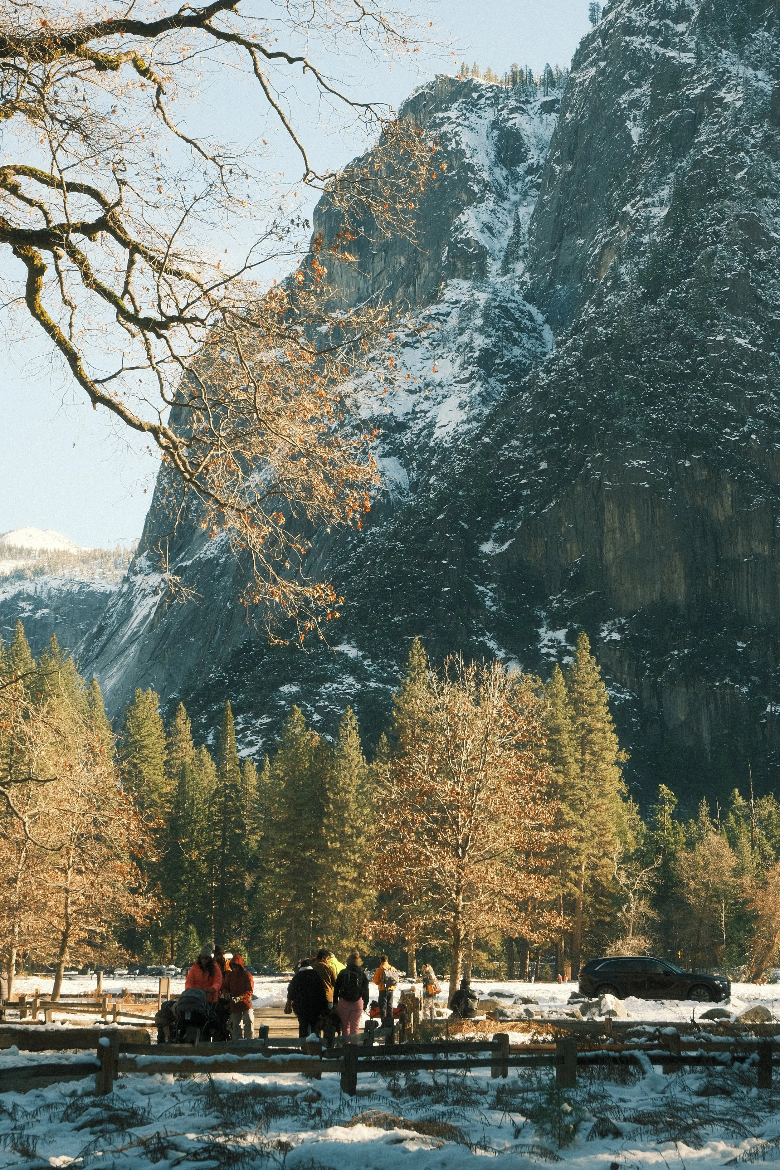 A group of people standing in front of a wooden fence surrounded by snow in a forest with tall trees and a mountain with snow in the background.