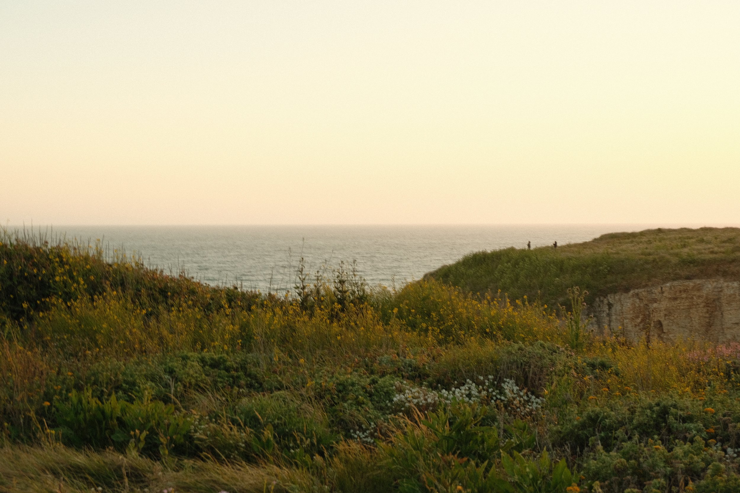 A coastal landscape with grassy hills and wildflowers in the foreground, the ocean in the middle, and a hazy sky above.