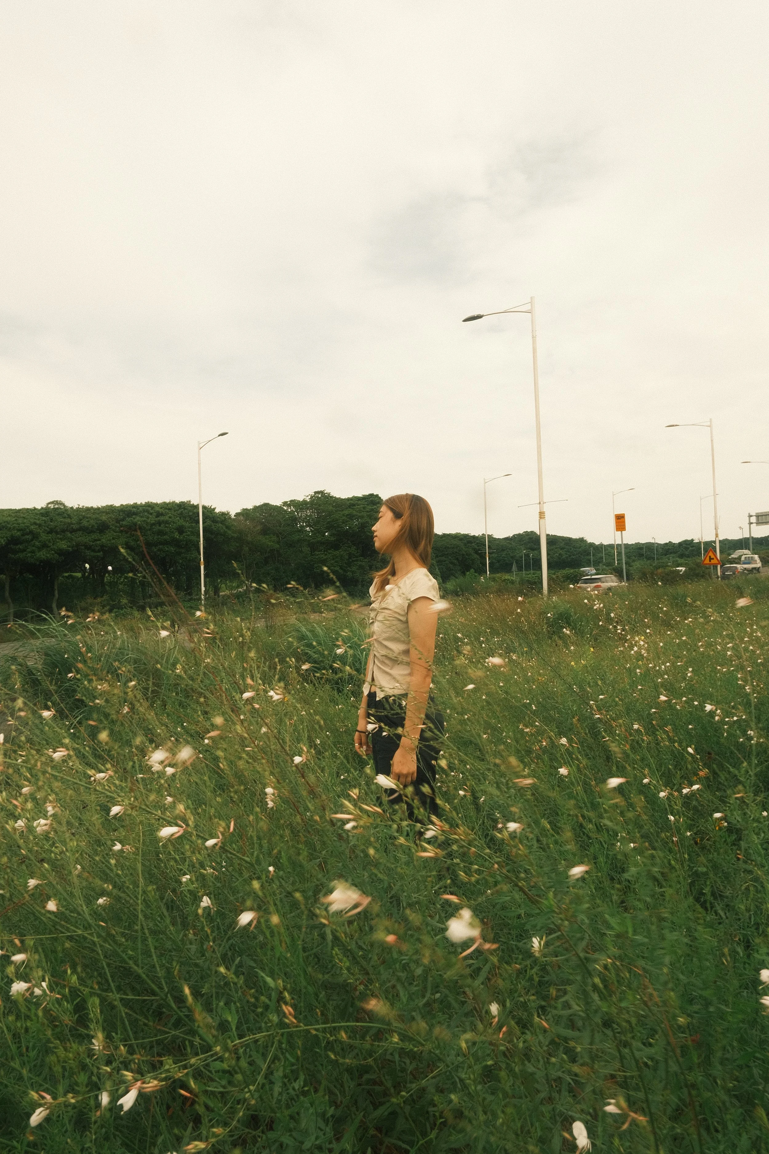 A young woman with shoulder-length hair standing in a grassy field with small white flowers, looking to the right, with cars and streetlights visible in the background under a cloudy sky.