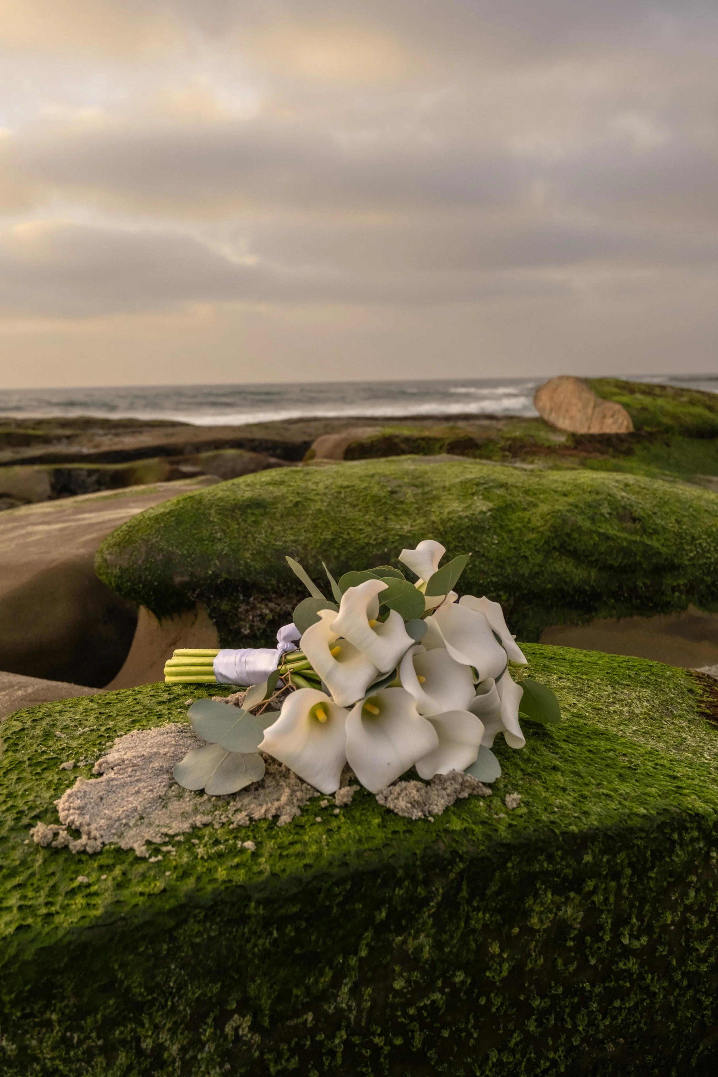 A bouquet of white flowers with green leaves rests on a moss-covered stone along a rocky coastal landscape, with the ocean and cloudy sky in the background.