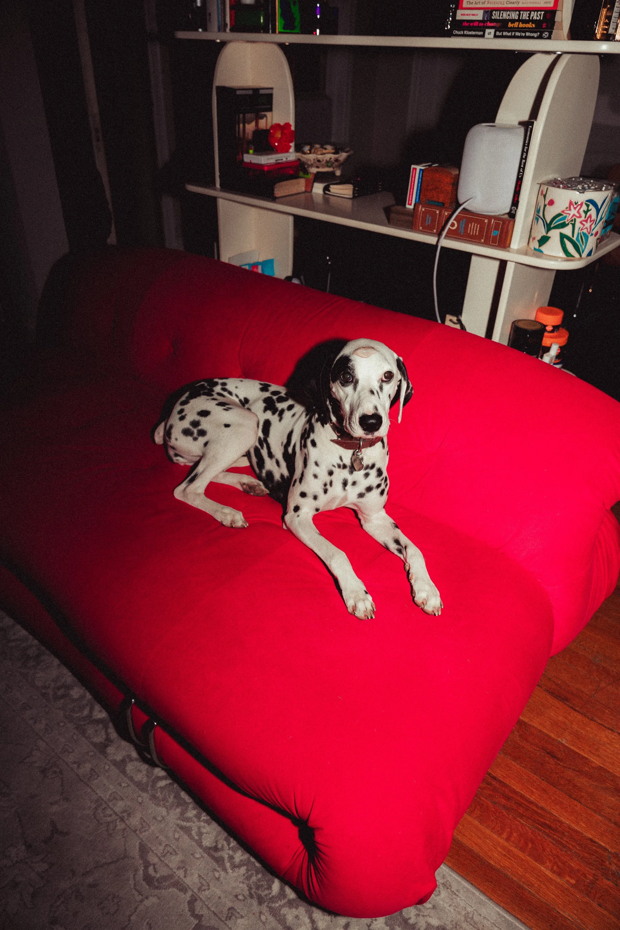 _DSC2098.jpeg