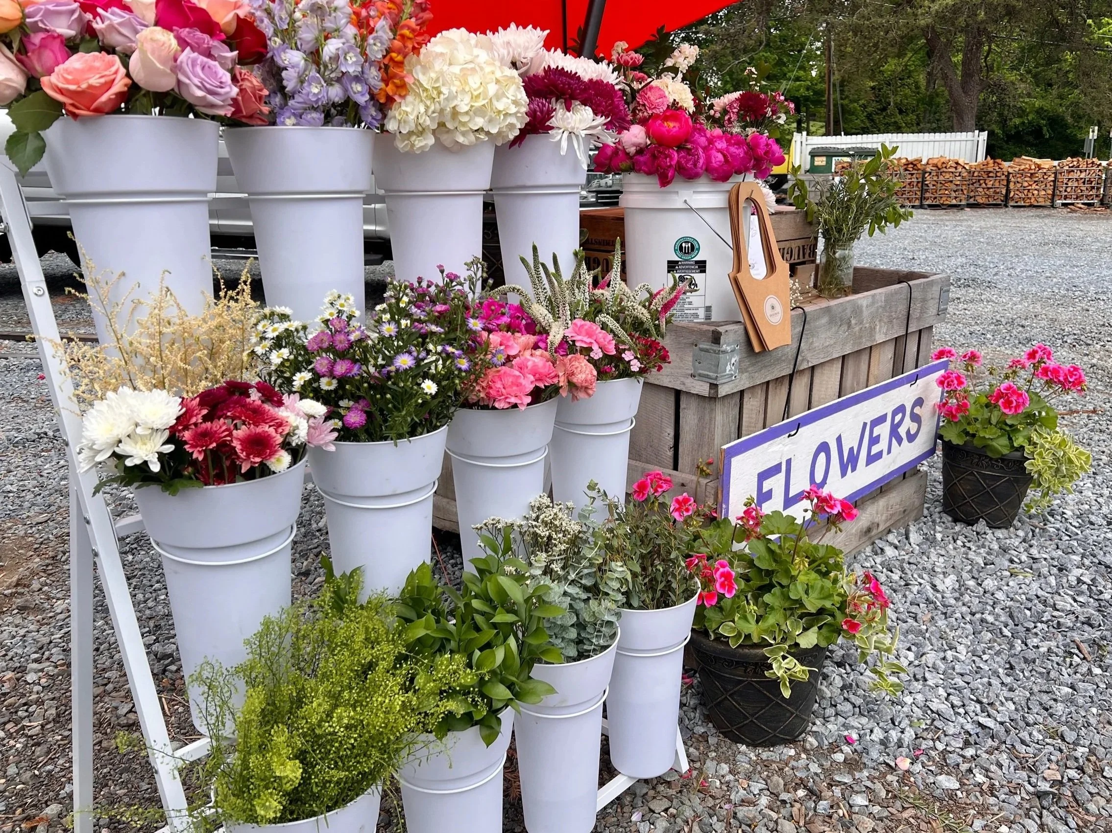 A display of various colorful flowers in white buckets at an outdoor flower stand, with a sign that reads 'FLOWERS' in the foreground and a wooded area in the background.