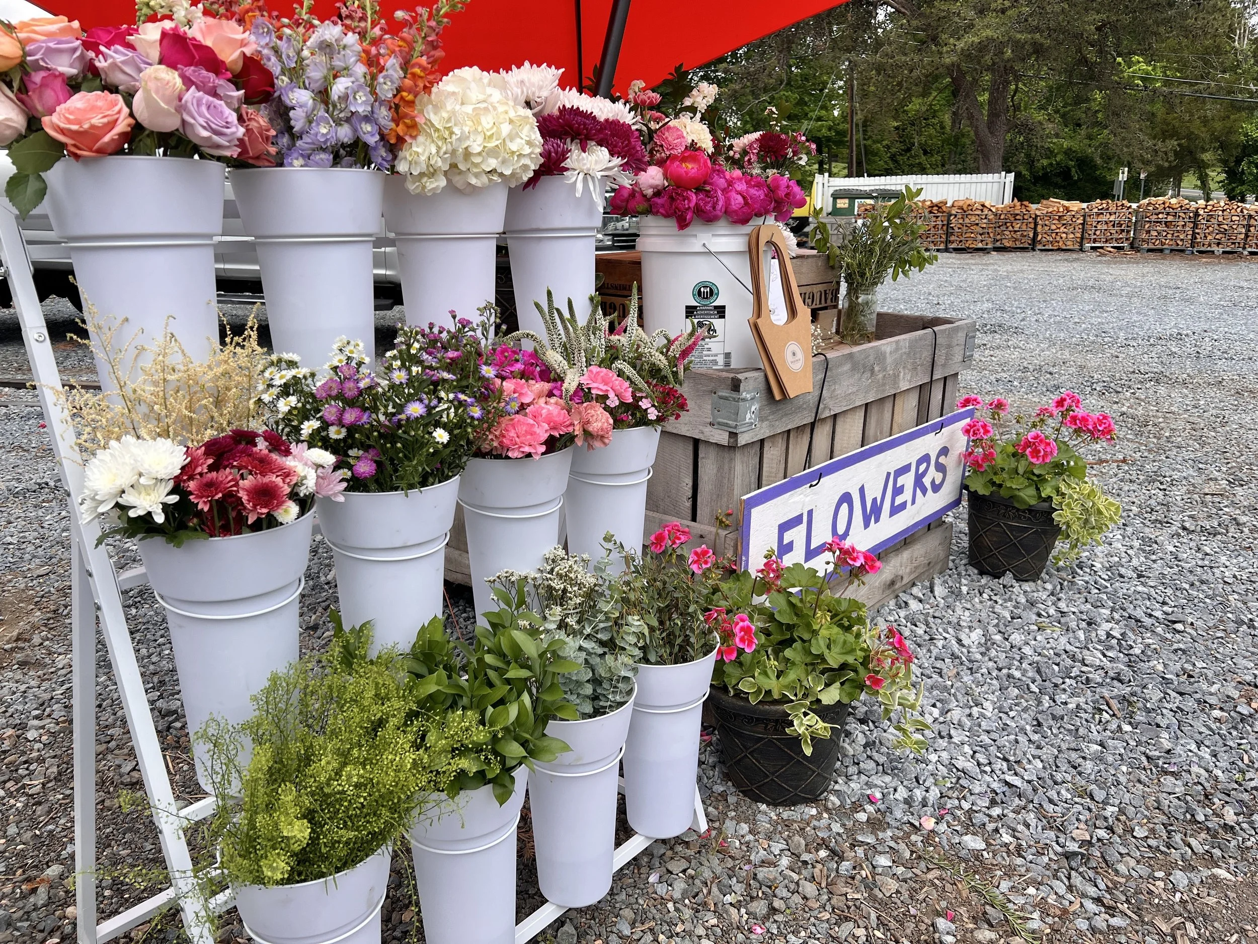 A display of various colorful flowers in white buckets at an outdoor flower market. The background includes a gravel ground, some trees, and stacked firewood.