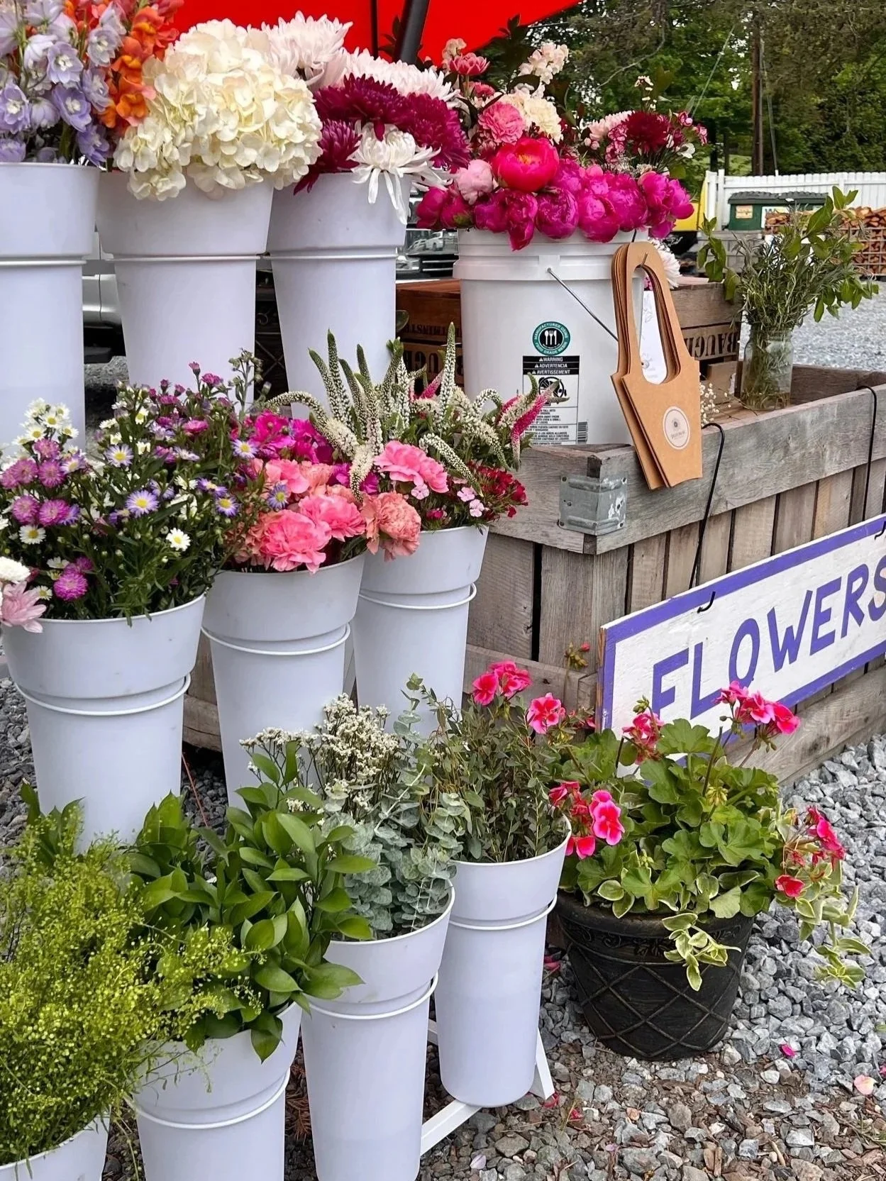 Display of colorful flowers arranged in white buckets and vases at a flower stand with a wooden sign labeled 'FLOWERS.'
