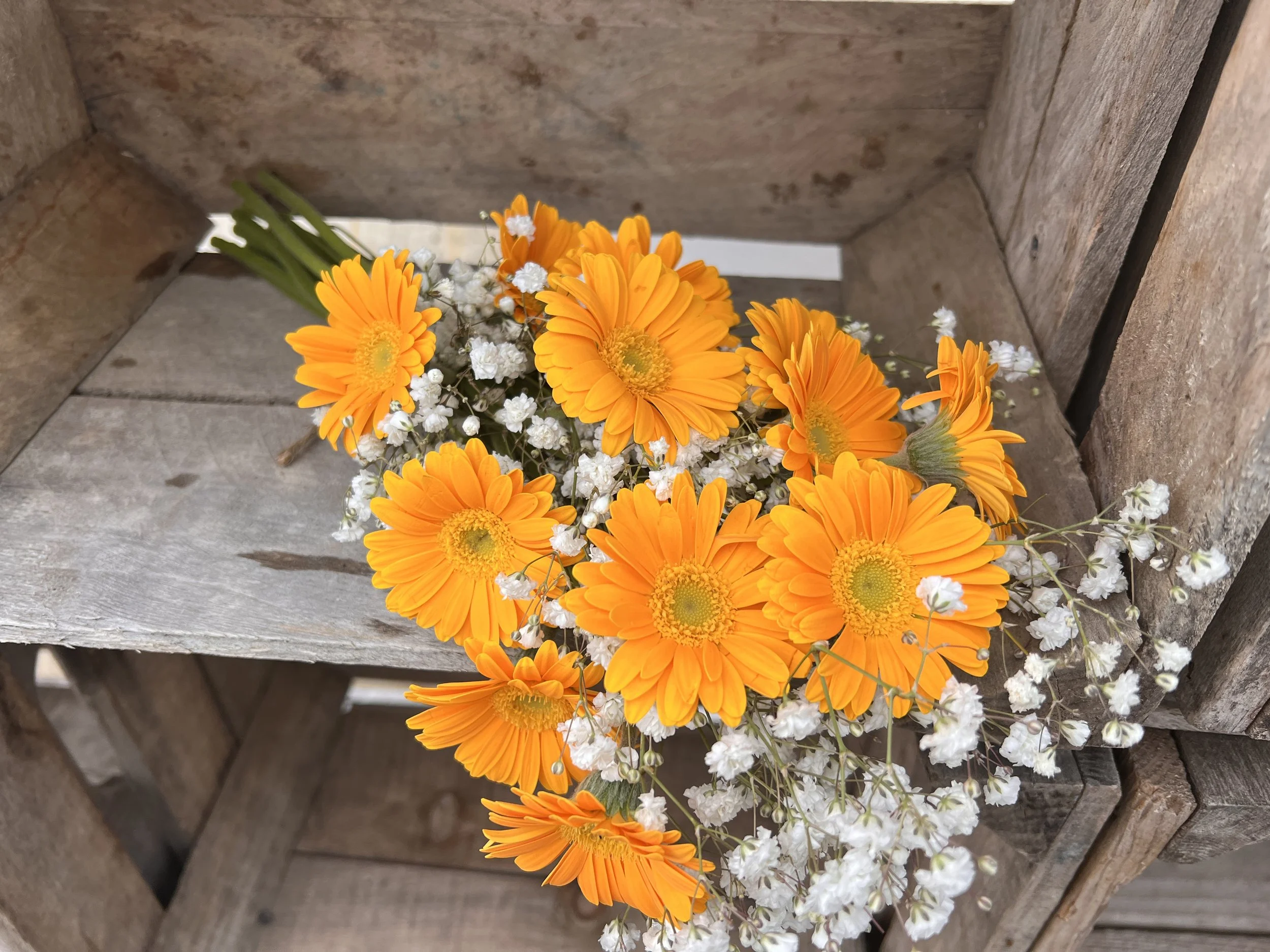 A bouquet of orange gerbera daisies and small white baby's breath flowers resting on a rustic wooden surface.