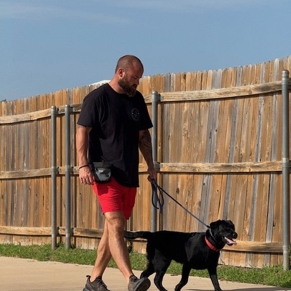 A man walking a black dog on a leash along a sidewalk near a wooden fence on a sunny day.