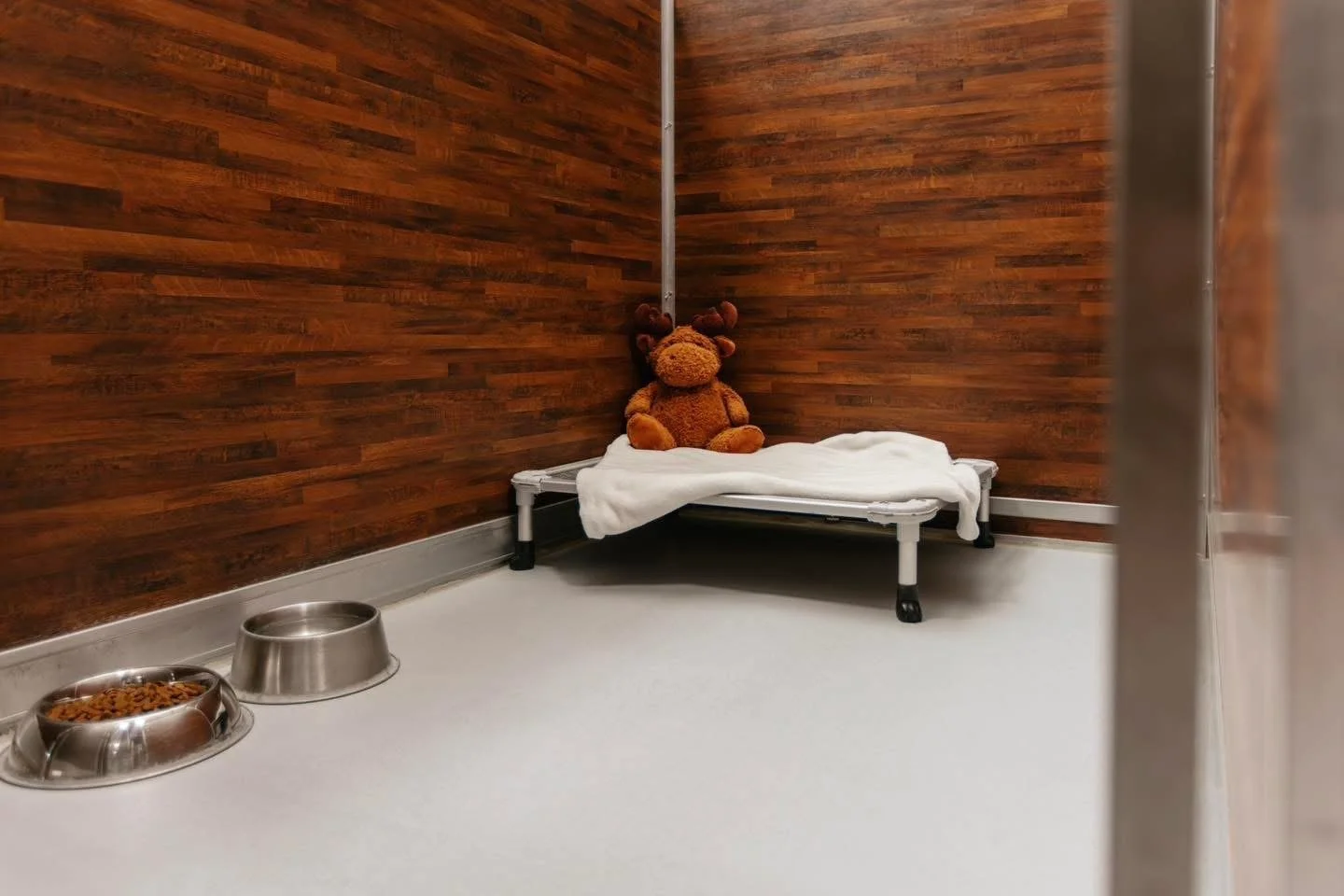 An empty sterile pet exam room with a small bed, a teddy bear, and two metal bowls on the floor.