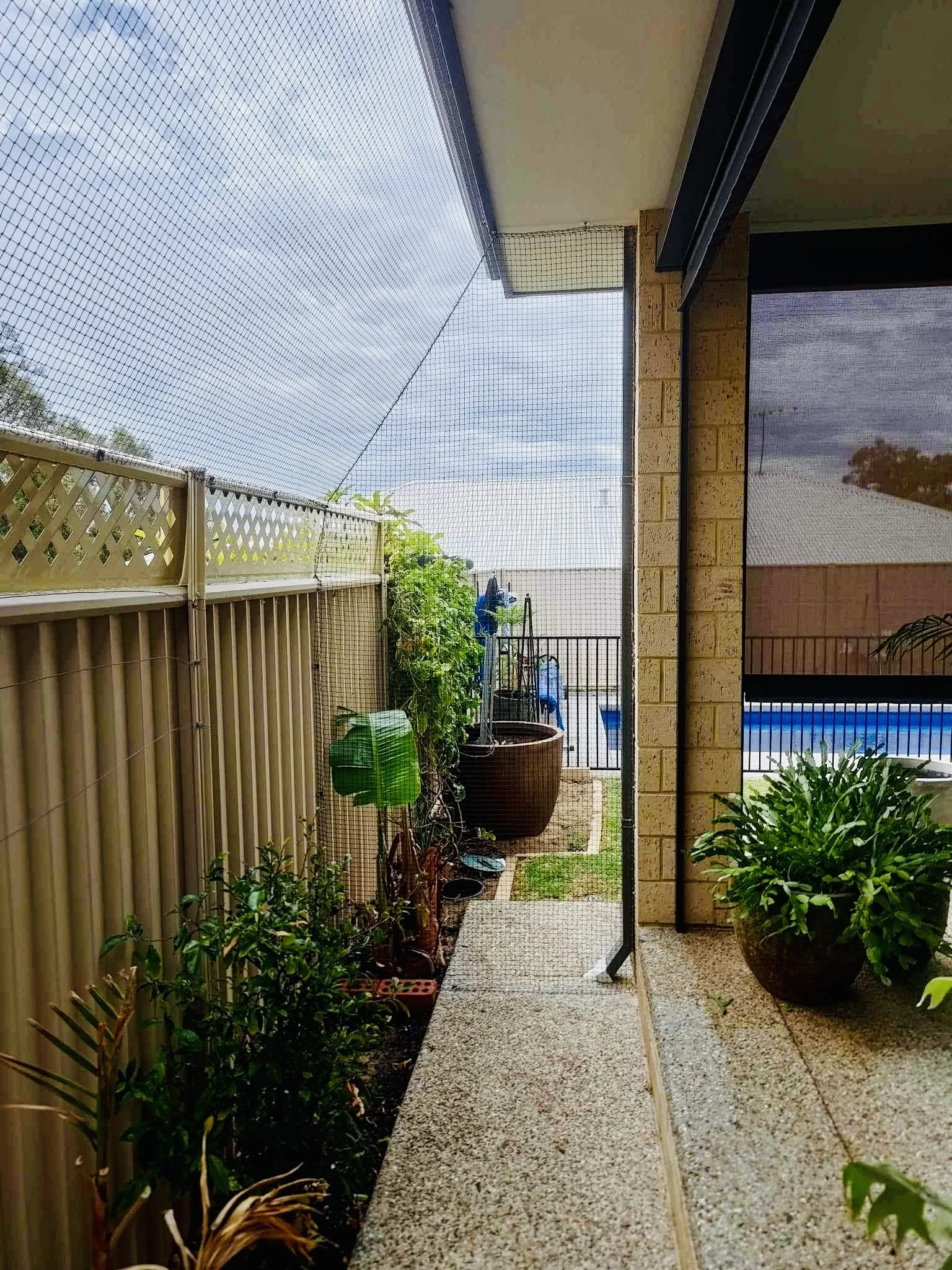Cat run Baldivis cat netting alfresco