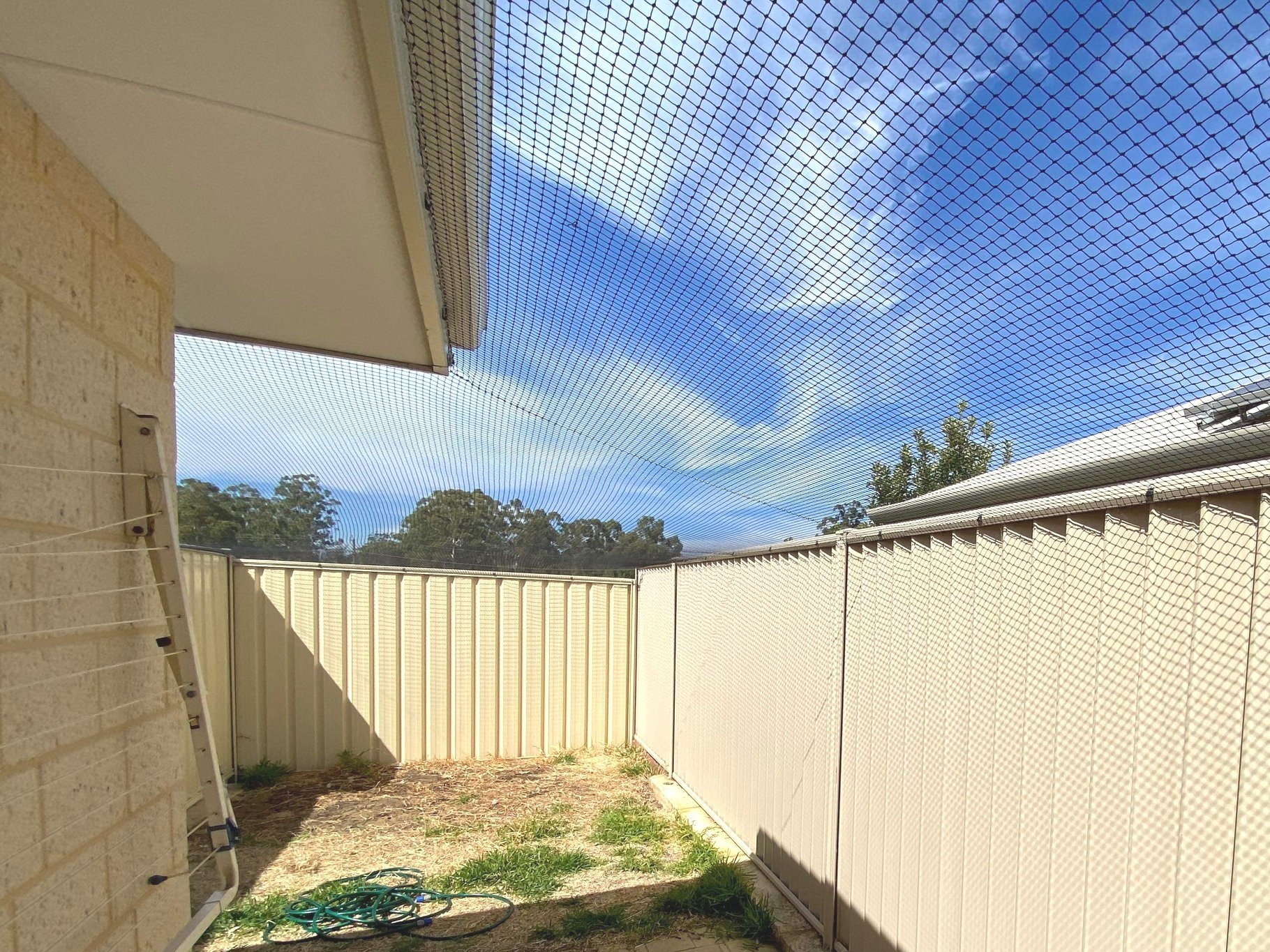 Cat run Cat netting backyard enclosure