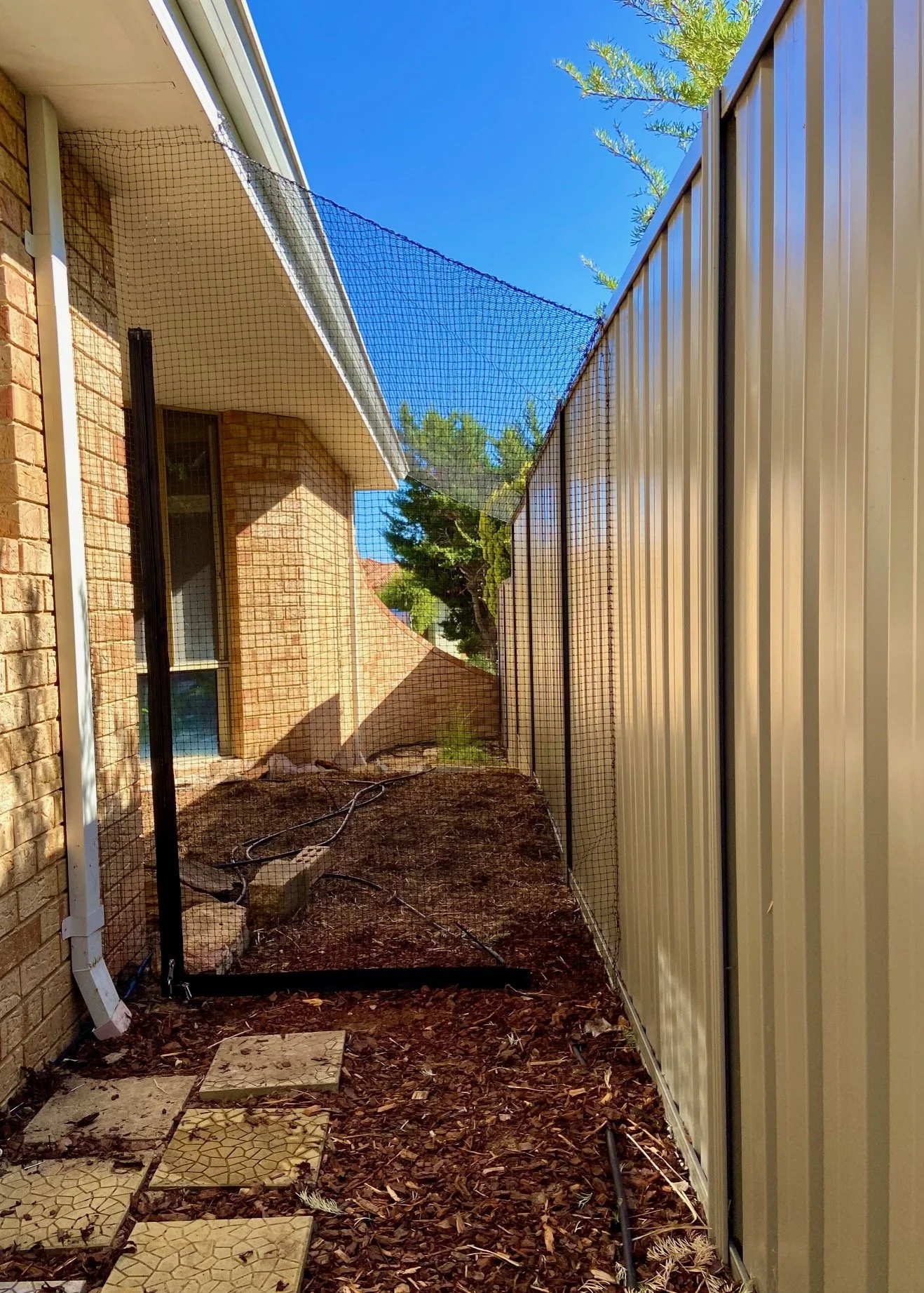 Cat enclosure Hillarys cat net Sorrento cat run Duncraig Catio Greenwood