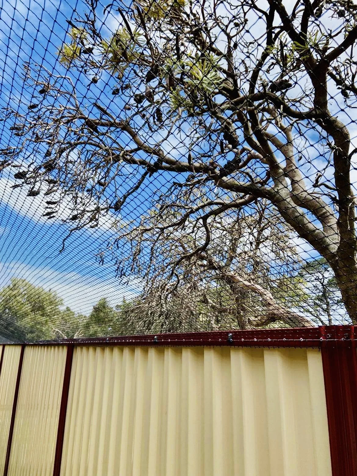 Cat enclosure Perth cat run Perth Cat netting Perth cat net catio
