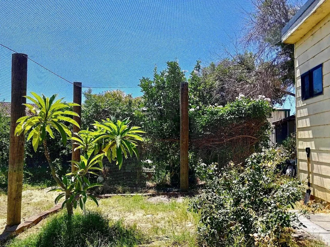 Cat netting Garden enclosure
