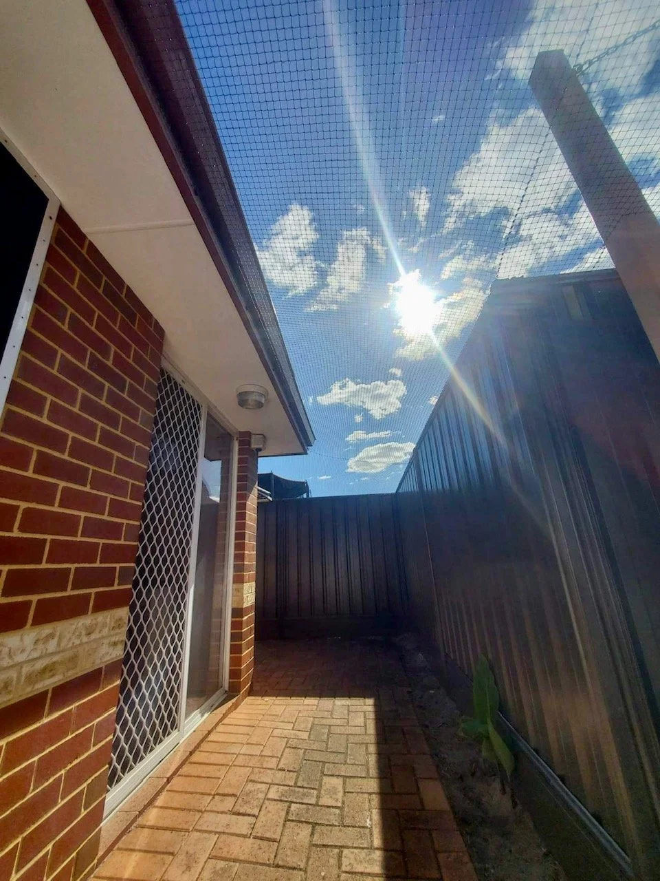 Cat netting Kelmscott Cat enclosure Kenwick Cannington Cat netting catio