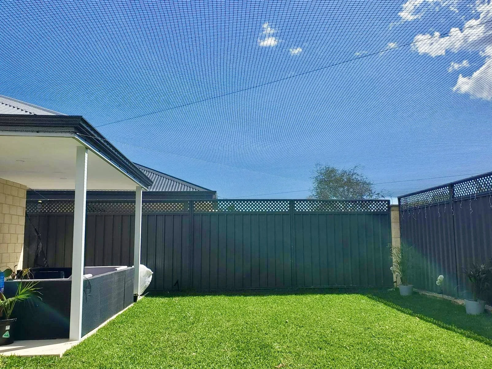 whole yard cat enclosure Baldivis