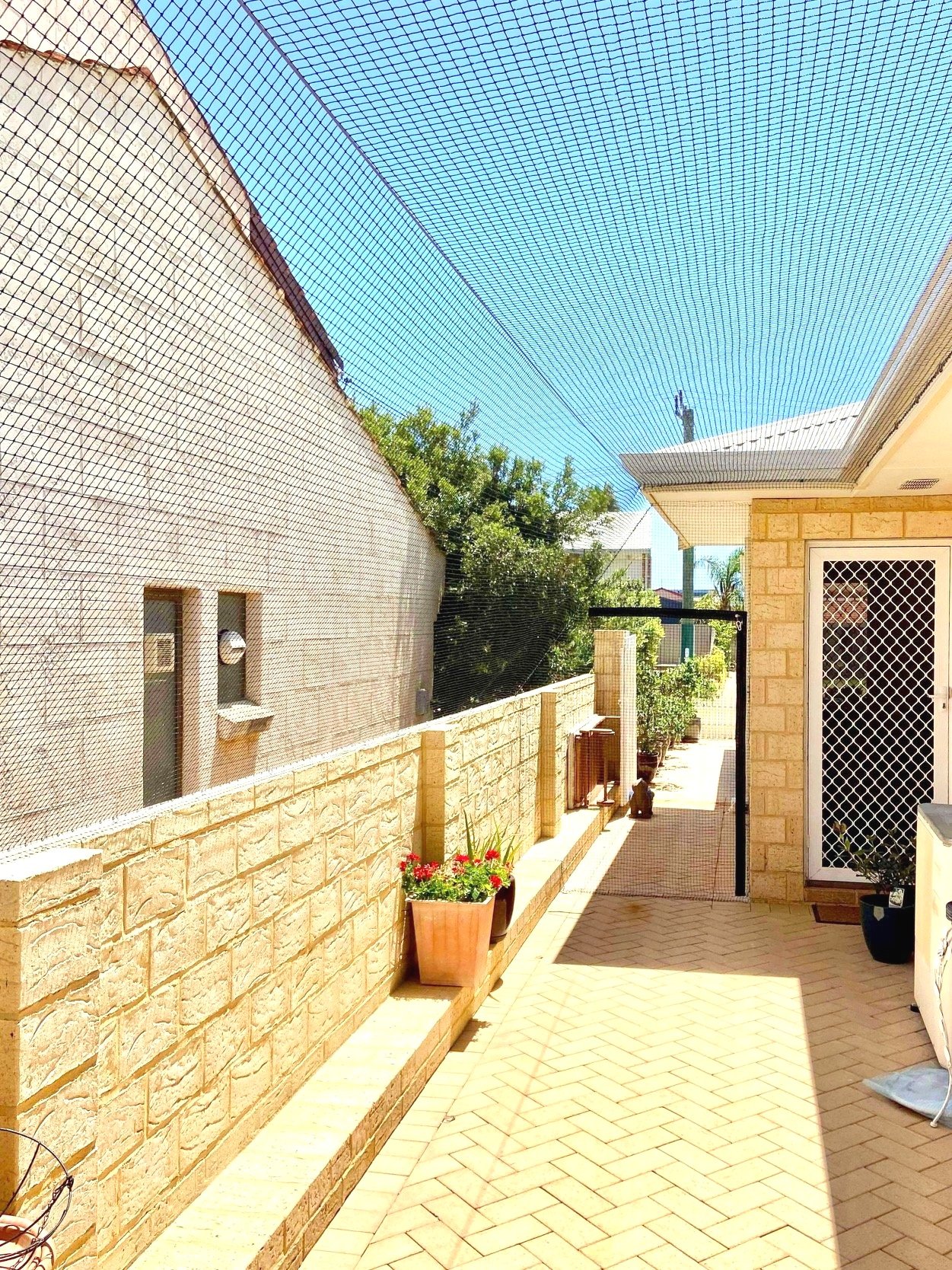 Safety+Bay+side+of+house+cat+run+cat+netting.jpg